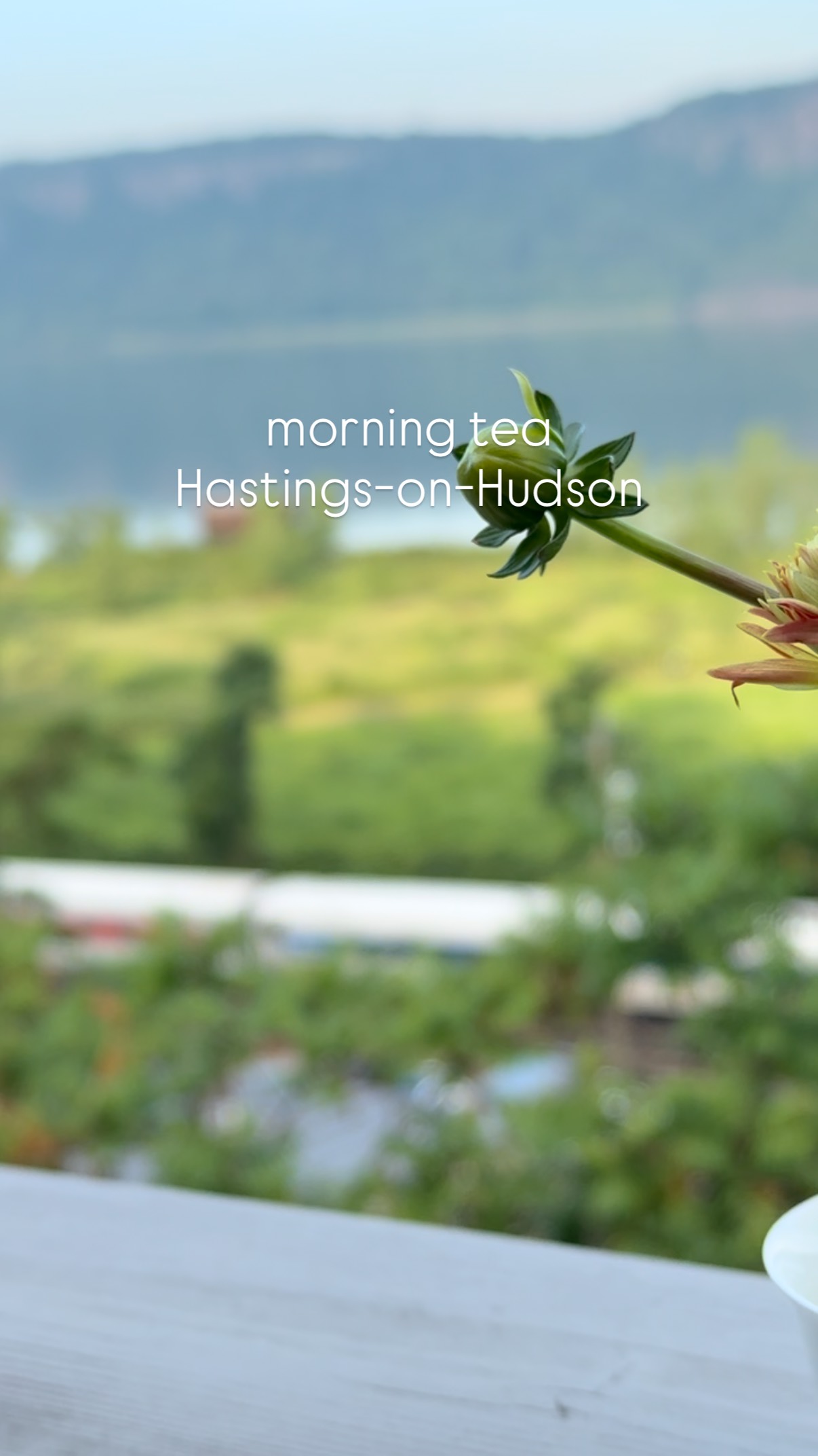 there is nothing quite like morning tea… #hastingsonhudson #taiwanesetea #slowtea #flowers #trysomethingnew #gratitude