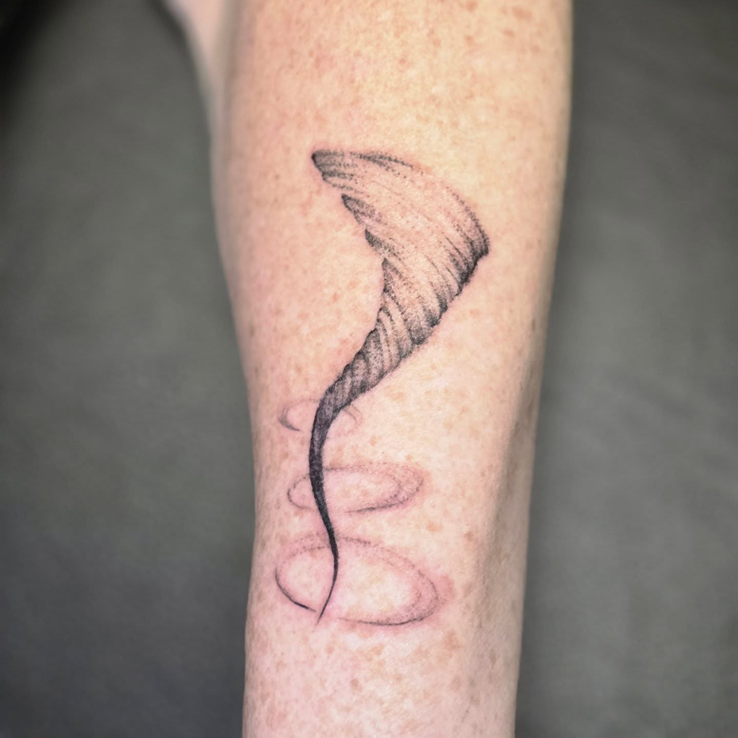 A freehanded tattoo for an amazing client by @fruitloop_illustrations
#tasteoftattooink #dmvtattooshop