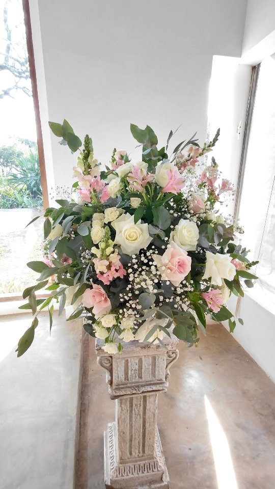 🌸 Soft, romantic, and oh-so-dreamy!
Delicate blush tones, soft whites, and cascading textures that brought timeless elegance to life.
Whether it's a dreamy tablescape, an intimate ceremony setup, or a statement floral piece, we believe in creating beauty that lingers in the heart long after the last guest leaves.
We’re so honoured to have played a part in bringing Georgina's vision to life. 💕
Congratulations Owen & Georgina xxx
📍KwaZulu-Natal weddings never looked this good.
#RomanticWeddings #BlushWeddingFlorals #WeddingInspoSA #KZNFlorist #WeddingFlowersSouthAfrica #FloralDesignMagic #GardenStyleFlorals #ElegantDecor #WeddingDreamsComeTrue