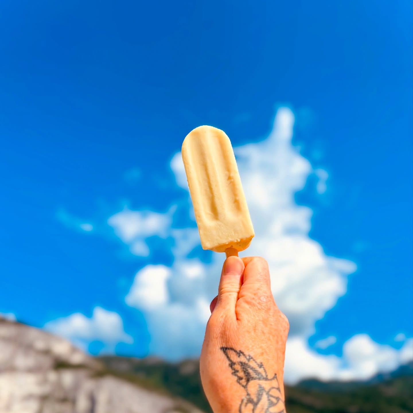 I scream, you scream, we all scream cause we now have ICE CREAM! //
Our takeout window is now serving ice cream and popsicles from our friends at @aliceandbrohm!
#icecream #squamishplacestoeat #squamishoceanfront #squamishisawesome #squamishlife