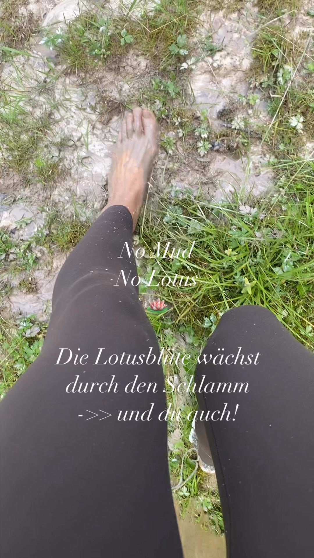 🪷 No mud, no lotus. Ohne Dunkelheit kein Licht. Ohne Chaos keine Klarheit. Ohne Schmerz kein Erwachen. 🪷 Der Lotus wächst aus dem Schlamm. Nicht trotz, sondern wegen der Dunkelheit, durch die er sich seinen Weg bahnt – langsam, still, mit innerer Weisheit. ✨Und genau so sind auch wir gemacht. Unsere Herausforderungen sind nicht das Ende – sie sind der Anfang von Tiefe, Schönheit und echter Verbindung zu uns selbst. ✨ Du darfst stolz sein auf deinen Weg. ✨ Auf jeden Moment, in dem du durchgehalten hast. ✨ Auf jedes Mal, wenn du trotz allem weitergeblüht hast. Erinnere dich: Dein Schmerz ist kein Makel –er ist der Nährboden für dein innerstes Strahlen. 🌿. Hier ein paar Journaling Fragen für dich: -welche Schwierigen Erfahrungen waren dein „Schlamm“? -Was habe ich daraus gelernt was mich heute wachsen lässt? -welche Qualitäten sind in mir gewachsen weil ich da durch gegangen bin? (Stärke, Mitgefühl, Klarheit) 🪷. #nomudnolotus #transformation #healingjourney #spiritualgrowth #soulexpansion #fühlen #achtsamkeit #sensitivewoman #riseup #