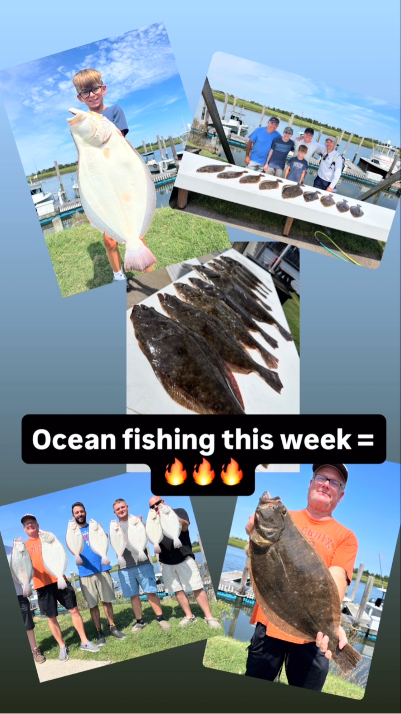 A lot of big fish this week!!! Let’s keep this train rollin right through August!!!🎣☀️🕶️
•
•
•
💻www.nev-r-enufsportfishing.com
☎️609-254-2763
➡️neverenuf2@aol.com
#nevrenuf #nevrenufsportfishing #fishingcharter #avalon #newjerseyfishing #avalonnj #coolerbyamile #familyfun #fishing #fish #flounder #fluke #flukefishing #flounderfishing #summerseason #summer2025 #fishingreport #catchoftheday #ocean #fishingtrip #gonefishing #newjersey #jerseyshore #keepers #freshcaught #dusky #boatlife #njfish