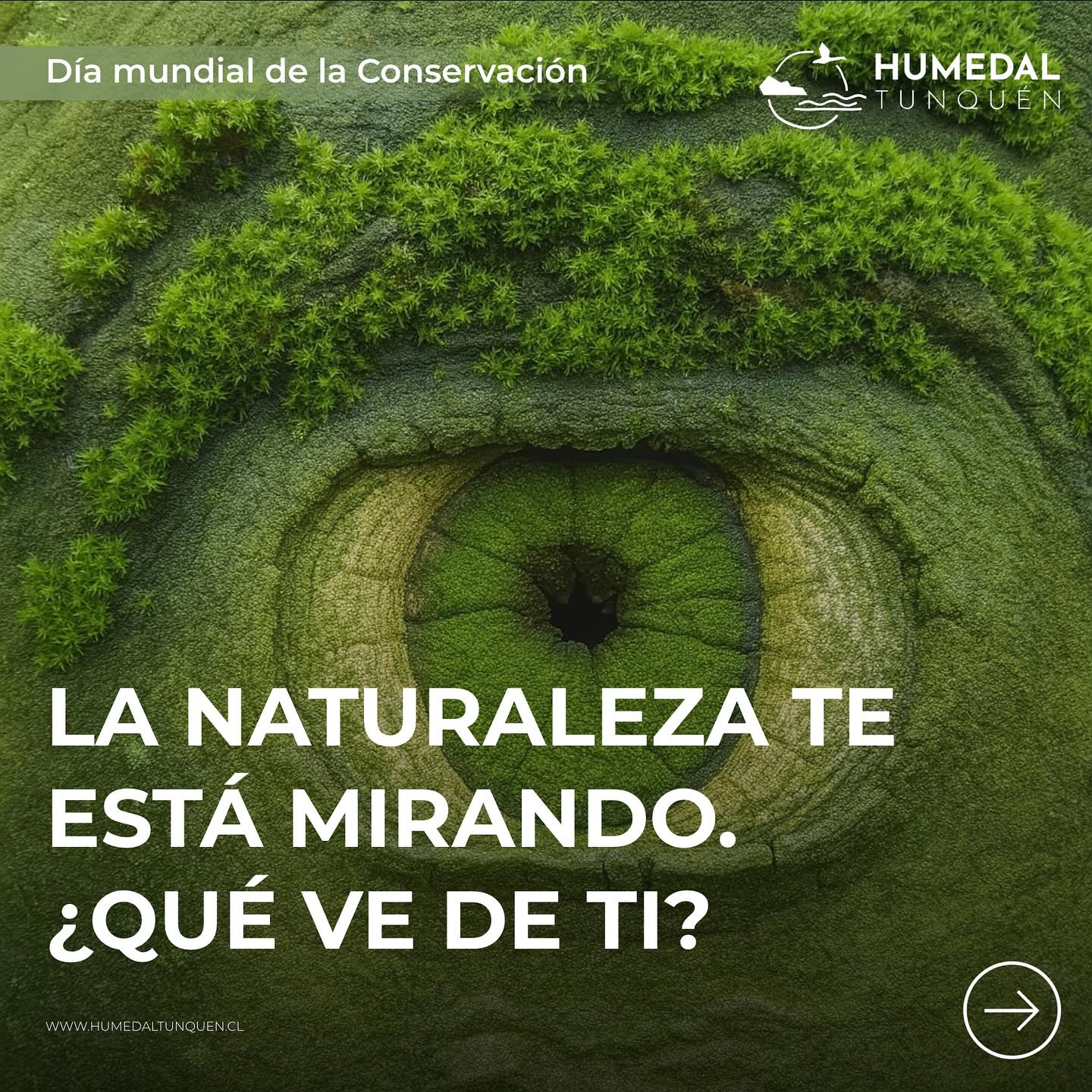 Hoy, en el Día Mundial de la Conservación, recordamos que no estamos solos en este planeta. La naturaleza nos observa… y nuestras acciones dejan huella. 🌿🐾
¿Cuidas lo que te rodea?
Supervisa a tus mascotas, respeta la fauna local y protege los ecosistemas.
La conservación parte por ti.
#DíaDeLaConservación #RespetoPorLaNaturaleza #ConvivenciaResponsable #GuardianesDelPlaneta