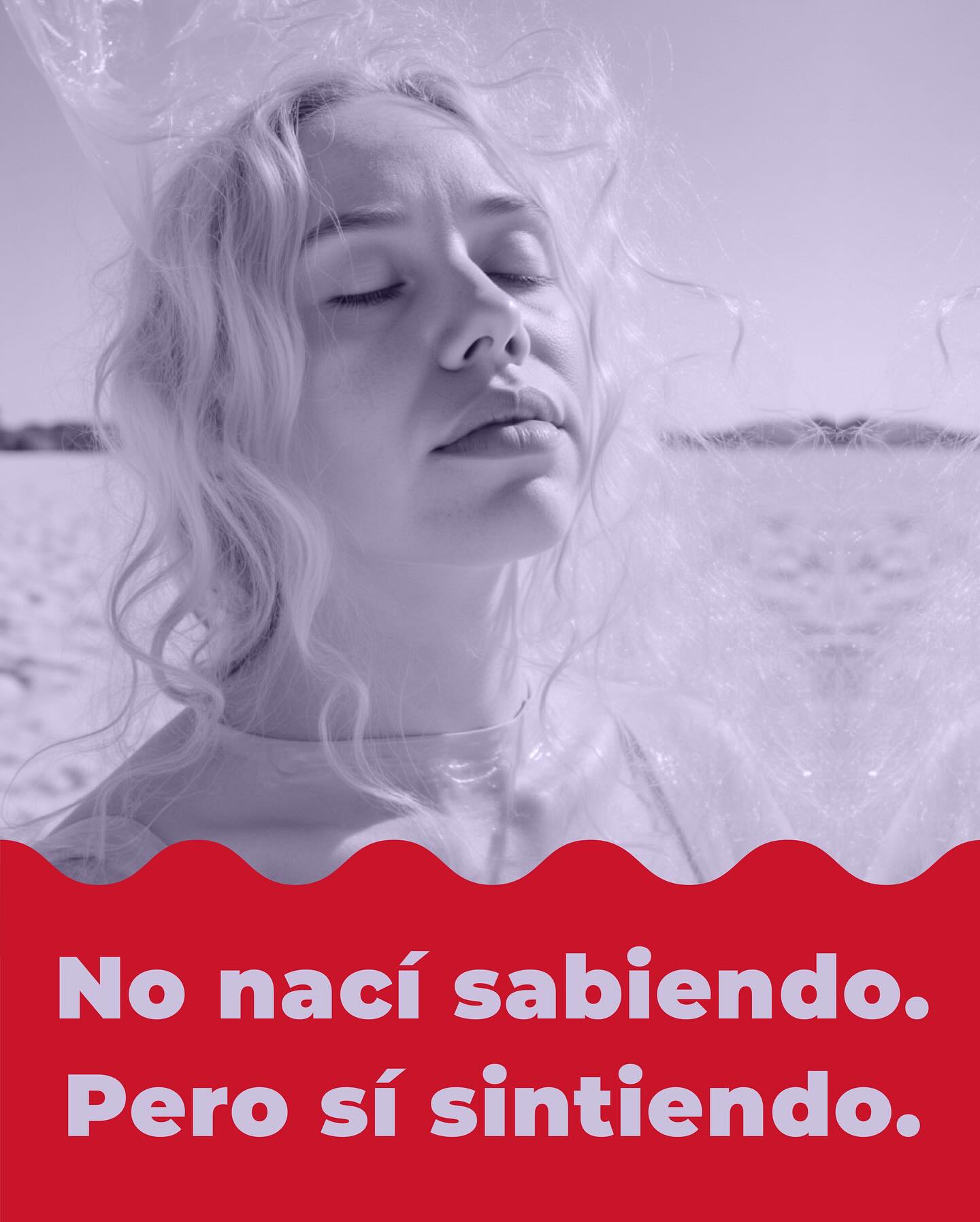 No soy de las que cuentan solo lo que salió bien.
Tuve una empresa. Le metí todo: alma, tiempo, dinero, salud mental.
Y aún así, acabé saliendo con la mochila llena de deudas…
y una nueva manera de mirar las marcas (y la vida).
Aprendí que una identidad mal hecha no solo confunde al cliente. Te confunde a ti. Te hace dudar de si lo tuyo merece la pena. Te apaga.
Por eso ahora diseño marcas que te sostienen, que hablan de ti incluso en esos días donde ni tú te reconoces.
Y sí: me obsesiona que huelan a ti, que suenen a ti, que se sientan como tú. Porque cuando una marca te representa… se nota. Y sobre todo: te recuerda quién eres cuando se te ha olvidado.
💬 ¿Te ha pasado sentir que tu marca no habla de ti? Te leo sin juzgar y con ganas. #CicatricesQueSeConviertenEnMarcas #LauraMecaStudio #BrandingEmocional