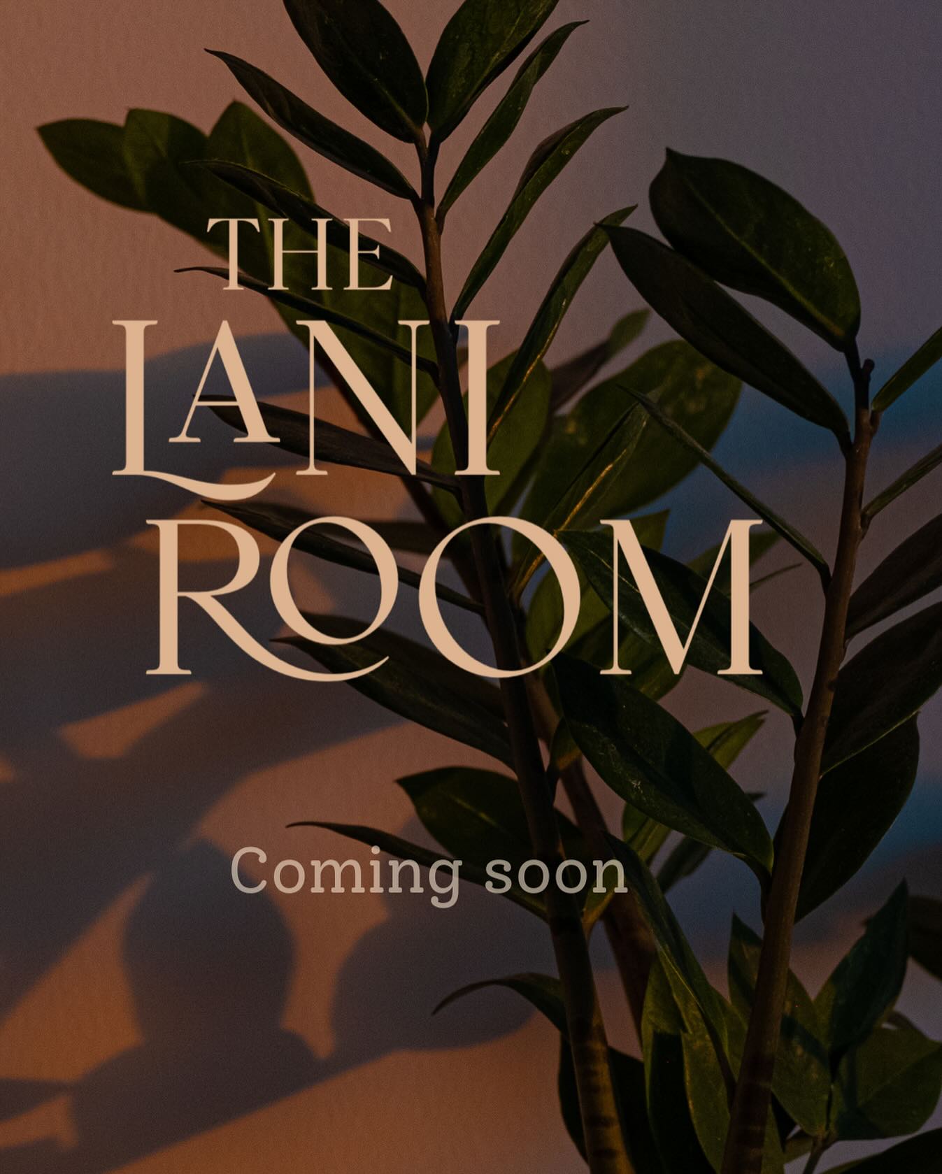 Something peaceful is coming to the top floorâŚ
A space to gather, stretch, make, and reconnect.
The Lani Room is nearly ready. A light-filled space in Kettering, for yoga, workshops, book clubs and slow, soulful gatherings.
Coming soon and we canât wait to welcome you in
Follow along for updates đżđ§
#thelaniroom #ketteringstudio #calmspace #spaceforhire #ketteringsmallbusiness #ketteringcommunityartgroups