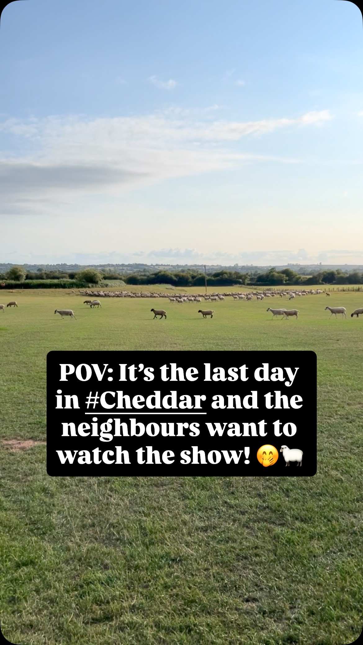 All welcome here! #circusfun
.
.
.
.
#cheddar #tequilacircus #circus #sheep #runawaywiththecircus #circusdream #welcome #circusticket #surprise #followtheleader #dream #circusartist #showtime #caravan #rural #rurallife #youngfarmer #sheepdog #security #funny #goodfun #memories #shaunthesheep #aardman #wallaceandgromit #bbc #bbcnews #localnews #somerset