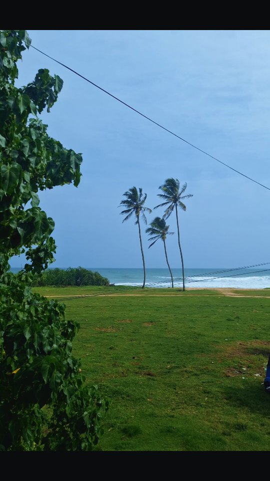 Some call it slow-season. We call it our best-kept secret. No schedule, just sunshine and good company🥥🌴
#lionsrest #gurubebila #weligama #surfsouthsrilanka #srilankatravel #ahangama #surfschoolsrilanka