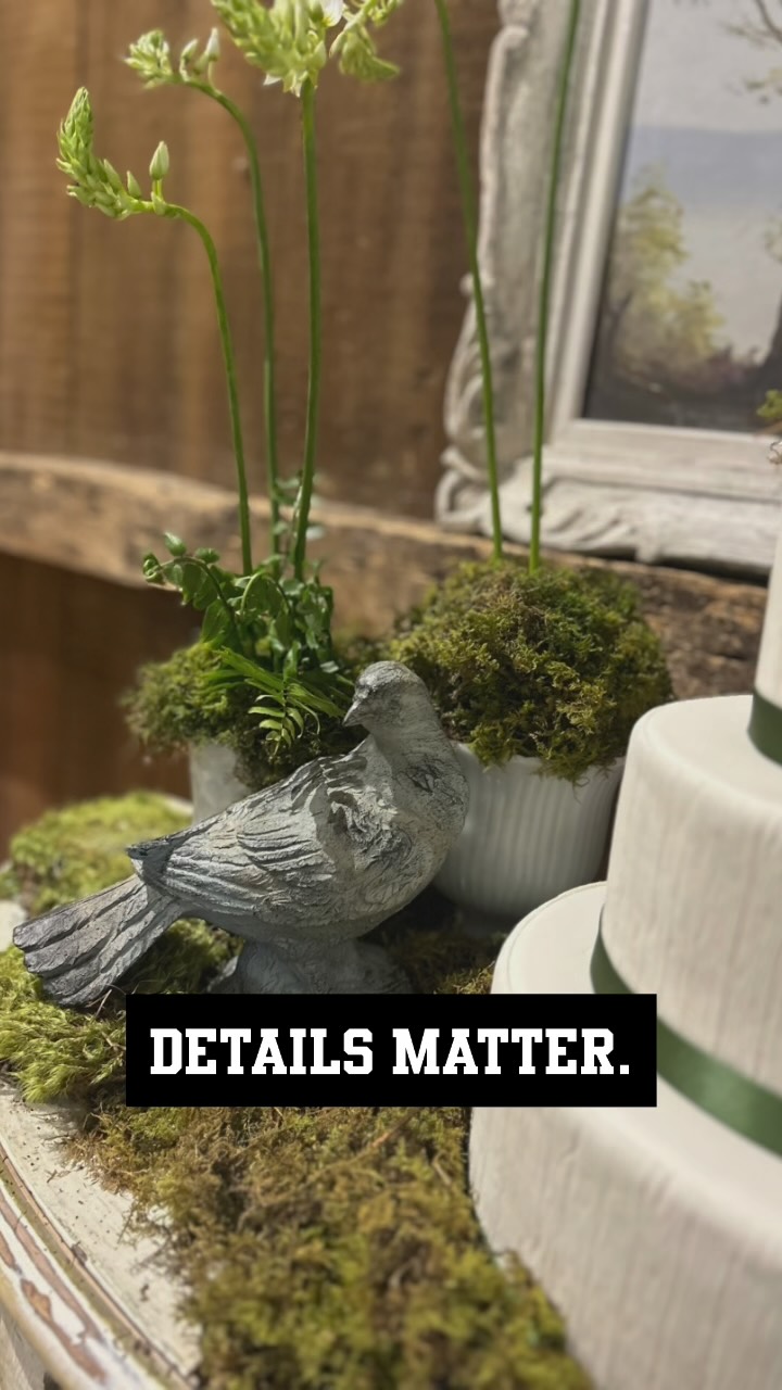 These are from a style shoot design we did with #huntcountrycelebrations this spring. It was all about vintage details, from the greenery textures to the sculptures to material choices. It was an early spring theme, so we designed with what you’d find naturally in the forests this time of year, namely ferns, moss, mushrooms and minimalist flowers. We featured a serpentine live edge cherry wood table from #bellavillashop and built the design around this central feature. Venue: @kalerovineyardweddings
Planning: @vvweddingplanning
Design: @livelifelettered @walkingwindfarmandflorist @bellavillashop @vvweddingplanning
Photographer: @danielletowlephotography
Videographer: @bakerture
Event Rentals: @Brookerental
Vintage Event Rentals @bellavillashop
Stationery & Signage: @livelifelettered
Cake: @wandas_cakedecorating
Hair&Makeup: @alyasalonva
Officiant: @weddingceremoniesbyjeff
Transportation: @restonlimousine
Catering: @savoirfarelimited
Florals: @walkingwindfarmandflorist
Entertainment: @scandiadjs
Accommodations: @candlewoodsuitessterling
Wedding Dress @the_valley_bride
Team support: @daysandevesweddings @vpconsulting.events
Groom’s suit and accessories: @friartuxStyled Shoot Judge Liaison
@breauxweddings
#hccdesignduel