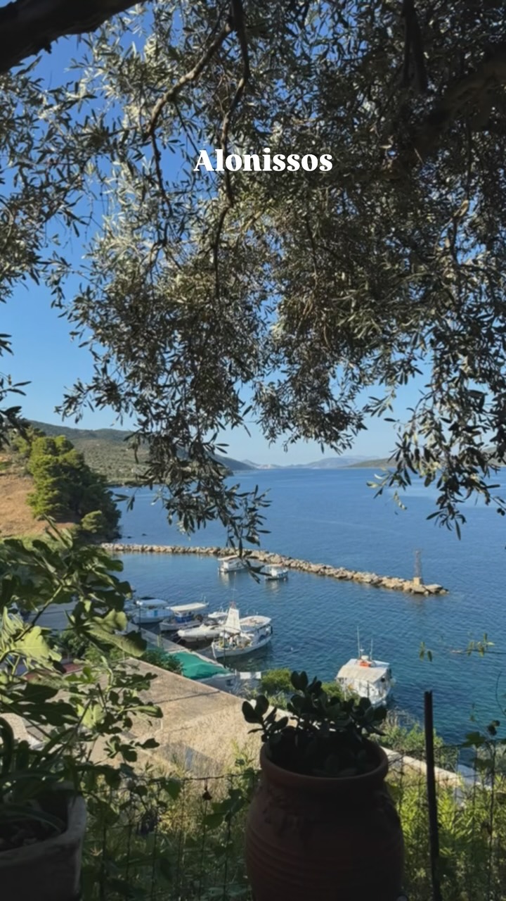 That’s us back after a lovely two weeks in #alonissos #greece
All enquiries sent while we were closed will be responded to by the end of tomorrow.