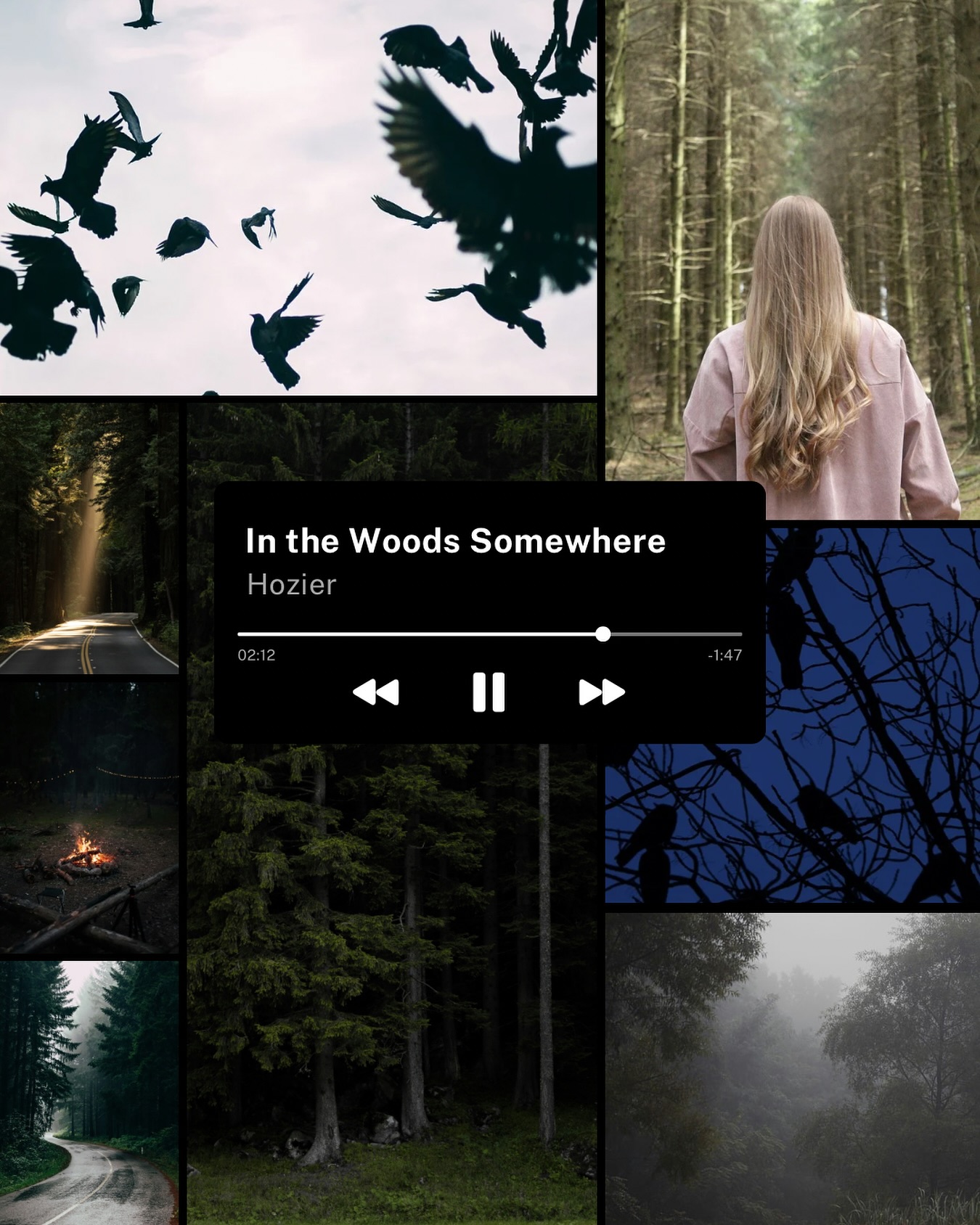 There honestly isn’t a better song I can think of than Hozier’s In the Woods Somewhere, that sums up the eerie, melancholic vibes of HOLLOW.
You can pre-order HOLLOW by @taylorlgrothe now! It comes out September 30, 2005.
#Hollow #TaylorGrothe #HollowSoundtrack #HollowVibes #creepyplaylist