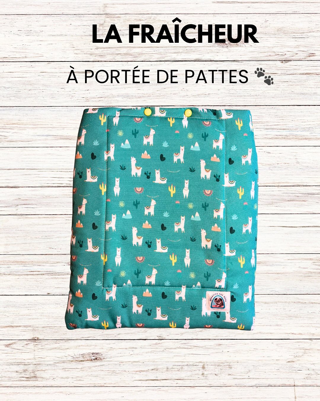 🌿❄️ NOUVEAUTÉ DISPONIBLE – Prête à être expédiée ! ❄️🌿
💚 La fraîcheur sur pattes – Édition lama fond vert 💚
Offrez un été tout en confort à vos NACs, chiens ou chats avec ce tapis rafraîchissant en coton ultra doux 🌞
✨ Idéal pour faire face aux fortes chaleurs, ce modèle est aussi joli qu’efficace !
✅ Inclus :
✔️ 1 tapis motif lama (fond vert)
✔️ 1 sac isotherme sur mesure
✔️ 1 pain de glace
💡 Le pain de glace se glisse facilement dans la pochette isotherme pour diffuser une fraîcheur douce sans danger. Le sac isotherme est amovible pour faciliter l’entretien du tapis.
💌 Ce modèle est déjà confectionné, donc prêt à être expédié rapidement pour soulager vos animaux au plus vite !
👉 Profitez-en dès maintenant sur le site ou en DM !
🐾 Prenez soin de vos animaux avec Quartier Des Nacs
#fraicheur #caniculeanimaux #quartierdesnacs #rafraichissant #tapisrafraichissant #accessoiresnacs #cochondinde #lapin #chat #chien #étéanimaux #faitmainfrance #animauxheureux