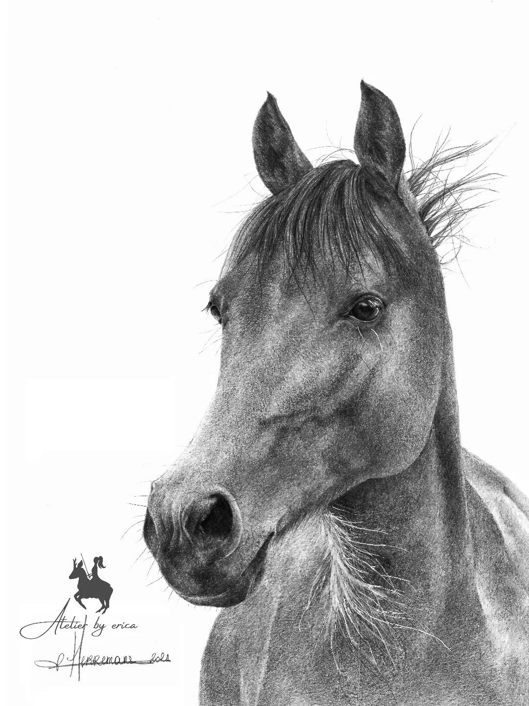 Lieve zonneschijn mocht ik ondertussen al enkele jaren geleden in portret tekenen, deze kleine maar karaktervolle dame heeft met haar trotse karakter al menig kinderhart doen smelten.
Hoe kan het ook anders, met zo'n lief kopje ☀️
'Zonneschijn-2021' - Privé collectie
#atelierbyerica #paardenportret #huisdierenportret #horseportrait #graphitedrawing #grafietportret #art #handwerk #handmade