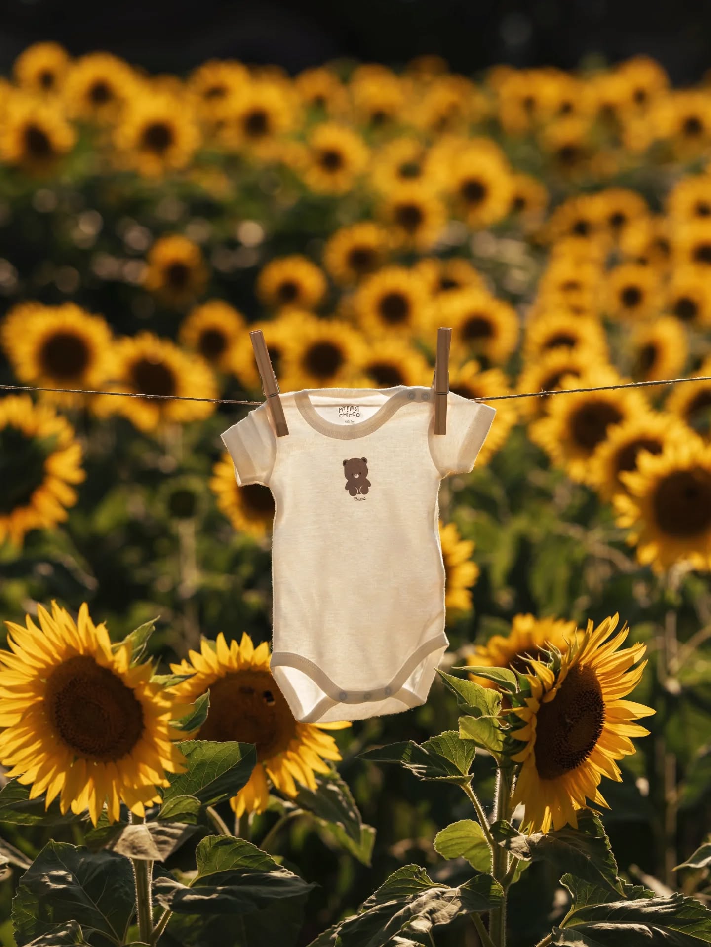 Le attese più belle sono quelle fotografate in mezzo alla natura. 🌻☀️
#pregnancysession #maternityphotography #maternitá #sunsetphotography #ticino #lugano #girasoli #sunflowers🌻