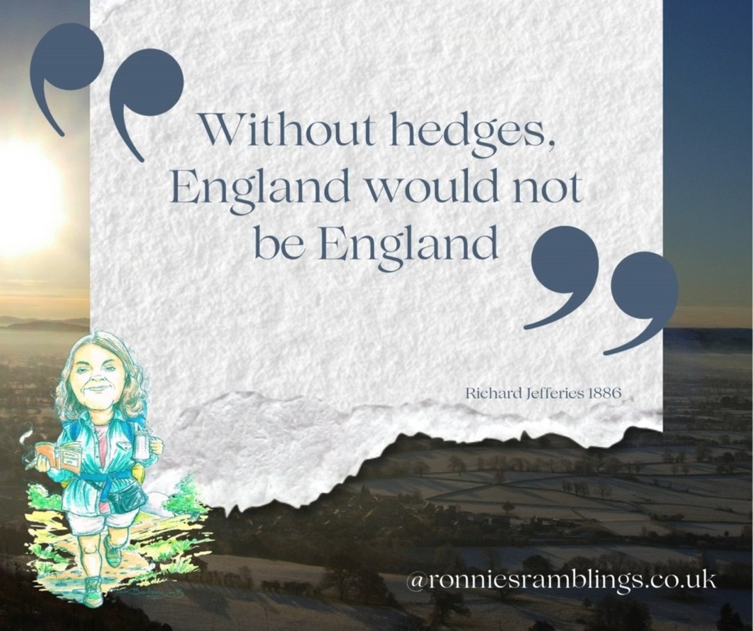 ✨ Weekly Smiles from Ronnie ✨
Ronnie’s notebooks are little treasure chests of joy, eccentric wisdom, and unexpected giggles — just the thing to brighten up your day!
#WeeklySmilesFromRonnie #RonnieQuotes #notebooklove #ronniesramblings #ronniesgifttous