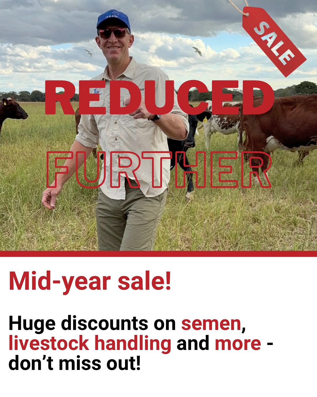 Further reductions in our mid-year sale. More than 50% off some products. Stocks are very limited so get in while you can!
#sale #wintersale #midyearsale #reddaneagrisolutions #farminglife #dairysemen #dairygenetics #livestockhandling #sheepfarming #artificialinsemination #livestock #wearelivestock