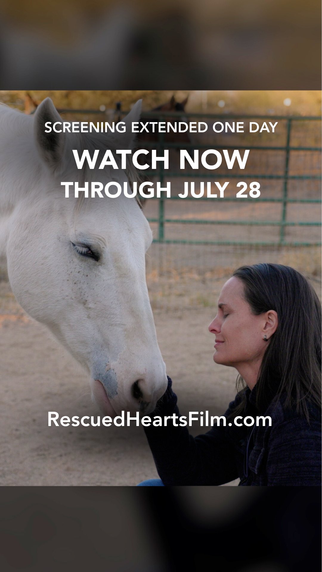 We’ve been flooded with messages about how Part 1 of Rescued Hearts is changing lives—and we’re regularly moved to tears reading them 😭 Your words were actually the inspiration for this teaser video!
Because of the overwhelming response (and a few tech hiccups on our platform), we’re extending the screening event one more day! 🎉
The new deadline to watch the first hour of Rescued Hearts is Monday, July 28 at Midnight in your local time.
Every share matters as we spread this message of hope and healing further than we could on our own 🐴💛✨
🎟️ Watch Part 1 now at rescuedheartsfilm.com
🎶 Featuring the brilliant music of our composer, and dear friend @briannatam and beautiful vocals by @theelenaflores 🫶
#RescuedHeartsFilm #HealingWithHorses #HorseHumanConnection #HeartCenteredHealing #HorseLove #HorseHealing #DocumentaryFilm #RescuedHorses
