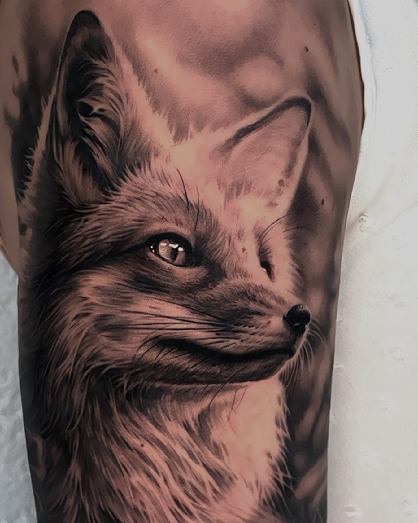 Close up of this fox from last year 🦊
#fox #foxtattoo #tattoo #tattoos #tattooartist #details