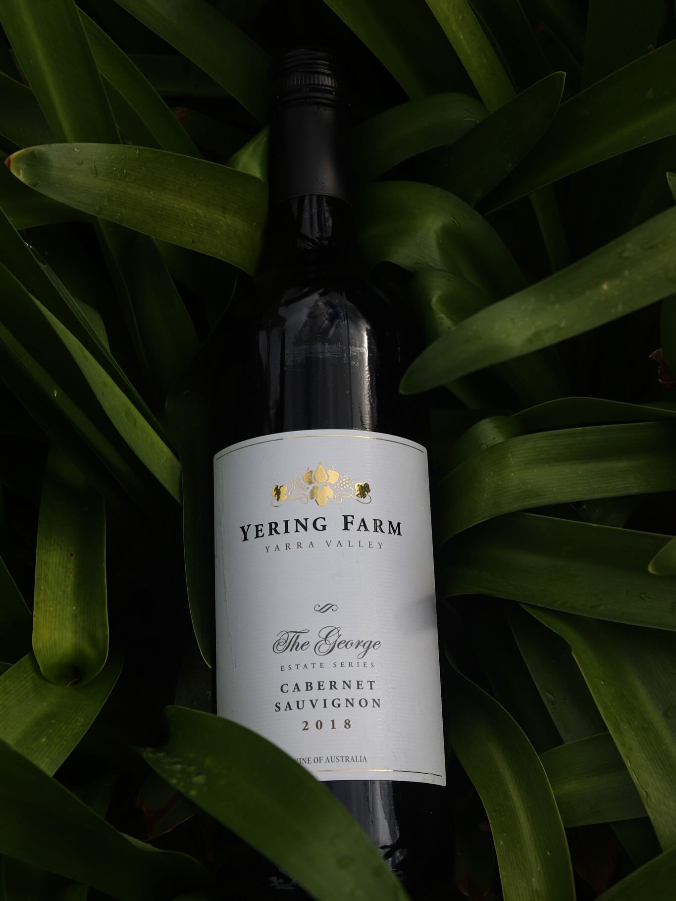 Weekly Wine Wisdom 🍷🍷🍷🍷🍷
Cabernet Sauvignon — a big yes from me, especially in the Yarra Valley.
While the Valley isn’t always the first region people think of for Cab Sav, I’m lucky enough to work on a road that produces some of the best.
Think red capsicum, herbaceous notes, and dark berry flavours which is everything I love in a glass.
I’m also a huge fan of how Yarra Valley Cab ages. I’ve been lucky to taste some stunning bottles like the 2014 Yering Farm Cab and the 2017 Copperhead, both absolute beauties.
Cabernet might not always get the spotlight here, but when it’s done right, it’s structured, elegant, and layered and it deserves way more love in the Valley.