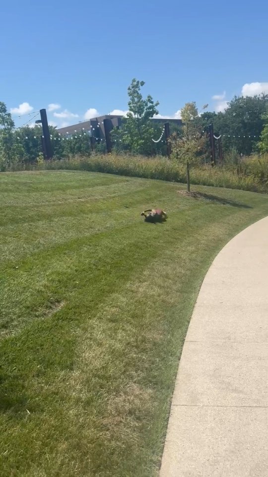 When life gives you a hill… you roll with it 😄💚
I’m bringing all the vibes today at @sacredsoulfellowship — happening now at Davidson Park, Milwaukee WI!
✨ Healing performances all day
🛍️ Holistic skincare + wellness goods
🌸 Free samples + plant-based love
Come experience the magic — support local, connect, and soak in some soulful energy.
📍 Davidson Park, Milwaukee
🕓 I’m here all day — pull up!
#BeautyFromTheRoot #SaucedSoulMarket #HealingVibes #MilwaukeeEvents #SupportLocal #HolisticSkincare #AyurvedicLiving #wellnessfromwithin