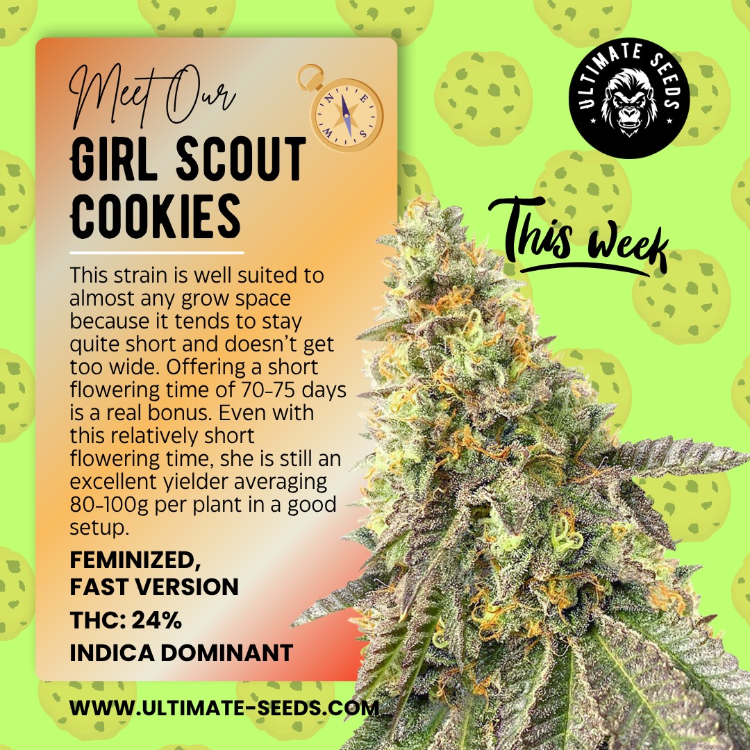 This week highlight: Girl Scout Cookies - Fast Version. 🍪🍪🍪🔥
