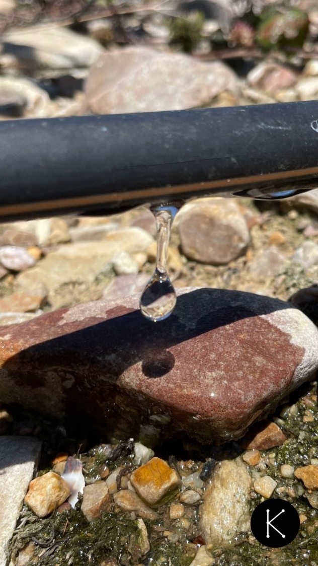 🚨 La cosecha terminó, pero ahora empieza una fase clave para preparar la del año que viene.
💧 Los nuevos brotes tienen que fortalecerse. Por eso los acompañamos con nutrición foliar y radicular.
#KumaCherries #allande #Linares #Asturias #productores #productosasturianos #productodeproximidad #productosdeasturias #Cerezas #zreizas #agricultura #agro #AgriculturaConPasión