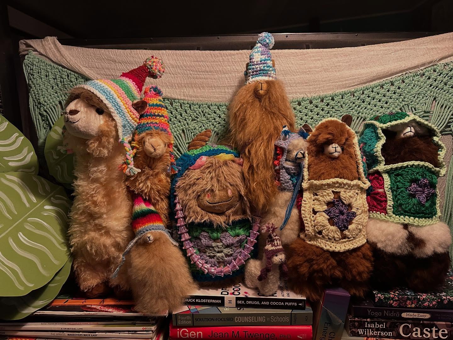 My Llama 🦙 collection the last two pictures are Llamas I bought in Chicago and the video was made in collaboration with fellow llama lover and sister @rachelsecretario balaclava pattern by @littlegemscraftshop