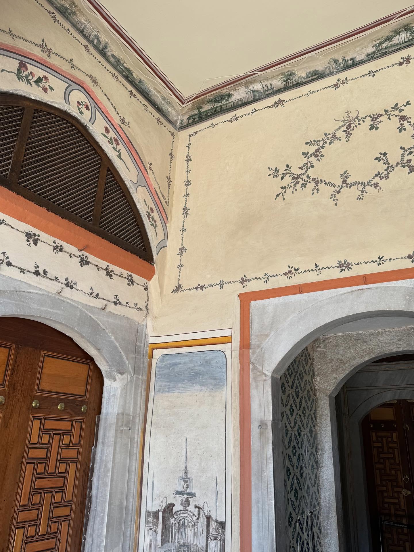 A TOURIST AT HOME ❤️🔥 #istanbul #istanbultopkapı #hagiasophia #theycallitchaoswecallithome