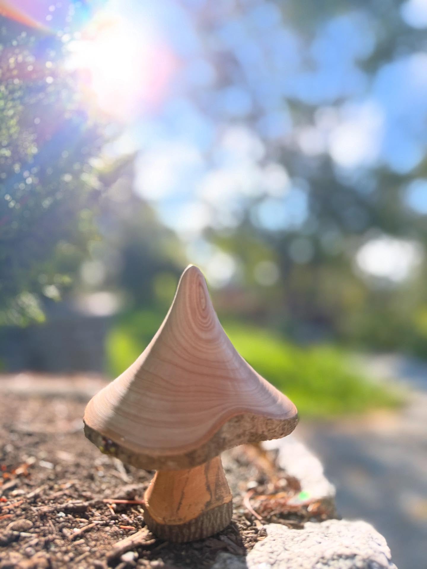 What is a Healing Journey Intention?
As a therapist supporting intentional healing journeys, I often say: your intention is your compass.
An intention is the purposeful why behind your inner experience. It’s the conscious anchor that helps guide your emotions, thoughts, and insights during the journey.
Why does intention matter?
A recent research review of over 11,000 journey participants found that intention significantly shapes the quality and impact of the experience.
People who set clear intentions were more likely to report:
Mystical or meaningful experiences
Heightened self-awareness
Connection with nature, spirit, or inner wisdom
Lasting improvements in well-being
The most common motivations for using people seeking healing journeys are:
Expanding awareness and self-knowledge
Coping with emotional pain
Enhancing pleasure, presence, or connection
Whether your intention is healing, growth, or exploration, taking the time to clarify it can deepen your experience.
Set it with care. Hold it lightly. Let the process unfold.
#PsychedelicTherapy #MentalHealthSupport #TherapistPerspective #SetAndSetting #PsychedelicIntegration #HealingJourney #InnerWork #SelfAwareness #TraumaHealing #PlantMedicineSupport #IntentionalLiving