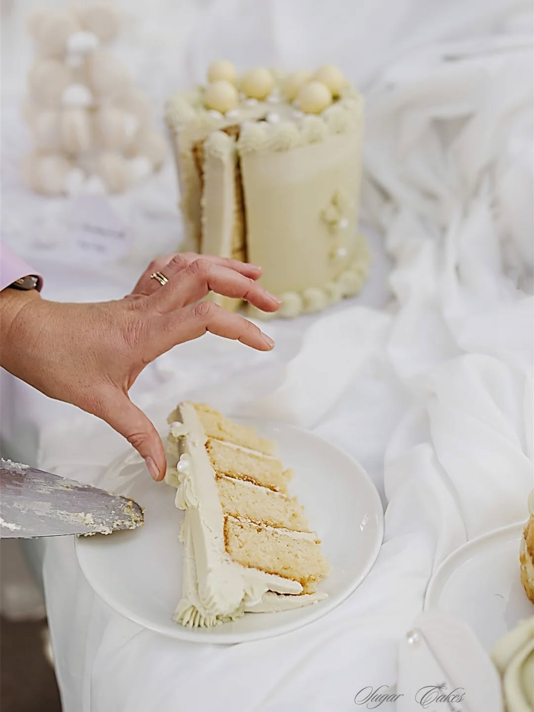 Sweet Vanilla & salted caramel 🤍🤍
#cake #weddingcakes #weddingservice #weddingvendor #weddingcelebration #saweddings #smallweddings #babyshower #buttercreamcakes