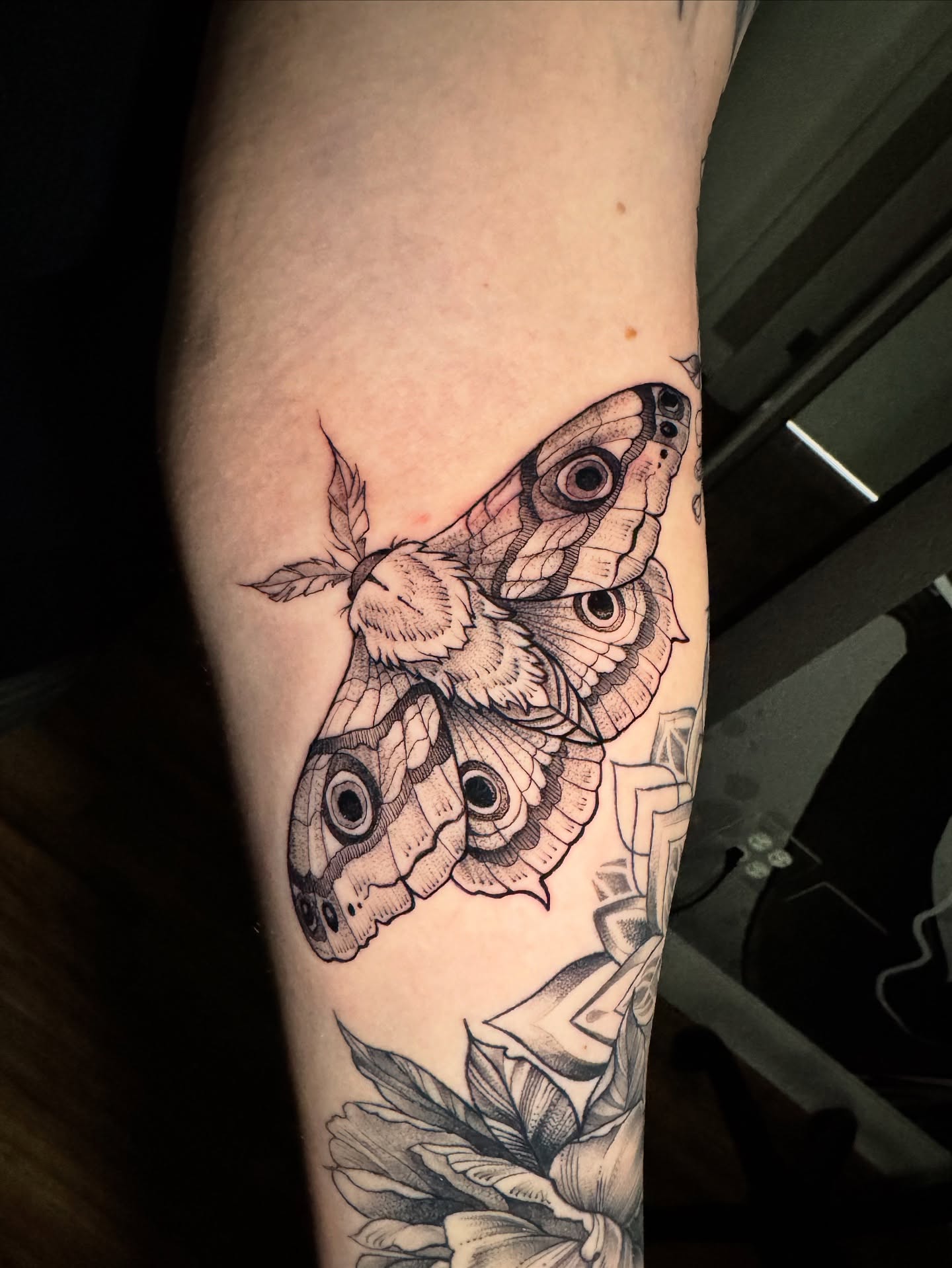 Now booking tattoo appointments for August & September! If you’ve been waiting to start your next piece, big or small, this is your sign. Please reach out via email or text to secure your session. Frequently asked questions are in my personal website, links are in bio.
#TattooArtist #BookingNow #CustomTattoos #TattooDenver #DenverTattooArtist