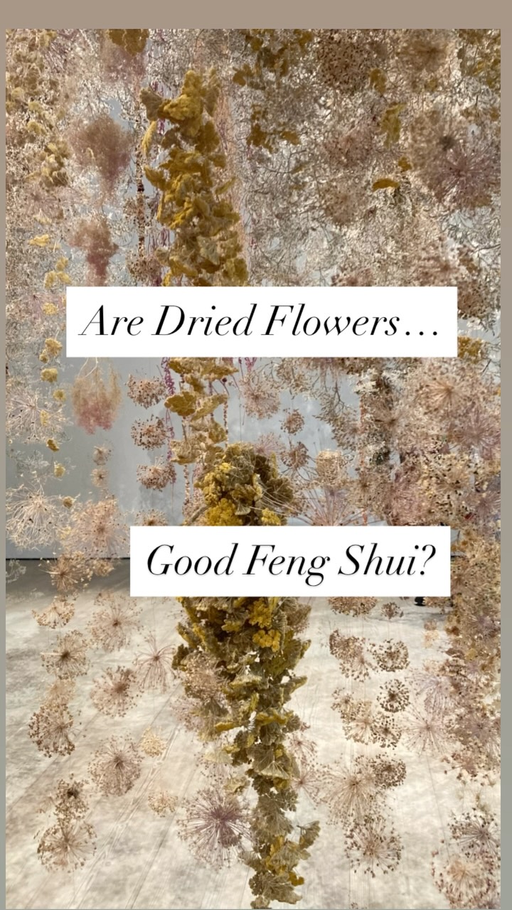 đ„ A walk through Dried Flower Energy
Here is another big question that comes up during my consultations: can I buy/keep dried flowers?
In terms of esthetics, they do work. I mean, I get it, they make for gorgeous and very chic bouquets.
But are they good Feng Shui? The answer is no, and you probably guessed why: itâs basically dead energy.
And I got to experience it firsthands: Last month I visited the stunning Flowers Exhibition @saatchi_gallery in London (highly recommend!) and for the first time in my life I had the opportunity to walk through a room filled with dried flowers⊠and feel the Yin. The flowers were beautiful, delicate, still fragrant⊠but the energy was very VERY low. Like I could feel it in my bones. Barely vibrating. Heavy.
So for Feng Shui purposes, avoid dried flowers, unless you want to place them in your drawers for their nice scent đ
#driedflowers #goodorbadfengshui #yinandyang #fengshuitips
đ«đ· Une Promenade Ă travers fleurs sĂ©chĂ©es
Une autre question qui revient lors de mes consultations : puis-je acheter/conserver des fleurs séchées ?
Esthétiquement parlant, elles font le job. Vraiment, je comprends, on en fait des bouquets magjifique, trÚs chics.
Mais est-ce du bon Feng Shui ? La rĂ©ponse est non, et vous avez sans doute devinĂ© pourquoi : câest de lâĂ©nergie morte.
Et jâen ai fait lâexpĂ©rience en personne : le mois dernier, jâai visitĂ© la magnifique exposition Flowers @saatchi_gallery Ă Londres (je la recommande vivement !), pour la premiĂšre fois de ma vie jâai eu lâoccasion de traverser une piĂšce remplie de fleurs sĂ©chĂ©es⊠et de ressentir du pur Yin. Les fleurs Ă©taient belles, dĂ©licates, encore parfumĂ©es⊠mais lâĂ©nergie Ă©tait trĂšs, trĂšs faible. Mon corps le sentait. Elle vibrait Ă peine, dans une sorte de lourdeur.
Donc pour le Feng Shui, Ă©vitez les fleurs sĂ©chĂ©es, Ă moins que vous ne souhaitiez les mettre dans vos tiroirs pour leur agrĂ©able parfum đ