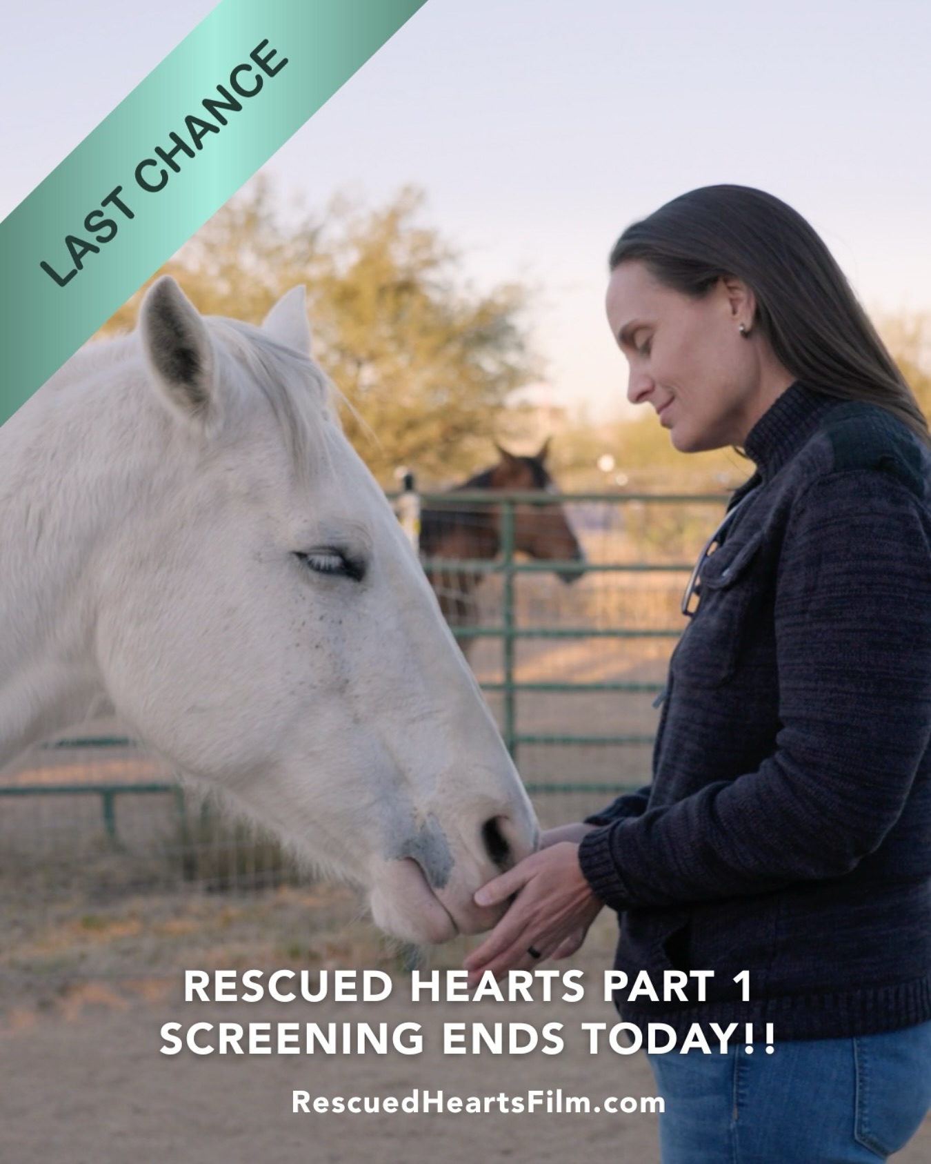 ⏰ Final Day!
Tonight is your last chance to experience Part 1 of Rescued Hearts. The screening event ends at midnight in your local time zone.
✨ What if one hour could open your heart in ways you didn’t expect?
We invite you to carve out this time as a gift to yourself and your soul.
🎟️ Get your ticket now at RescuedHeartsFilm.com
“The first hour of this film could be an entire phenomenal, beautiful, deeply heart and soul touching film all on its own. To know there’s so much more is amazing. Truly couldn’t recommend watching highly enough.” – Tiffany M.
Thank you for believing in this story and letting it touch your heart. 💛
#RescuedHeartsFilm #HealingWithHorses #HorseHumanConnection #HeartOpening #EquineWisdom #DocumentaryFilm #HealingJourney #HorseLove #HeartCenteredHealing #FinalDay #RescuedHearts