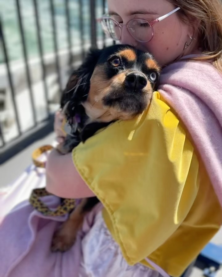 This weekend was a Poe(try) adventure. A ferry ride, a poetry festival on Galiano Island, and hike and river dip in North Van. Finding my bearings again in Vancouver and this weekend was so very sweet. @pilipinxpages @marikp4