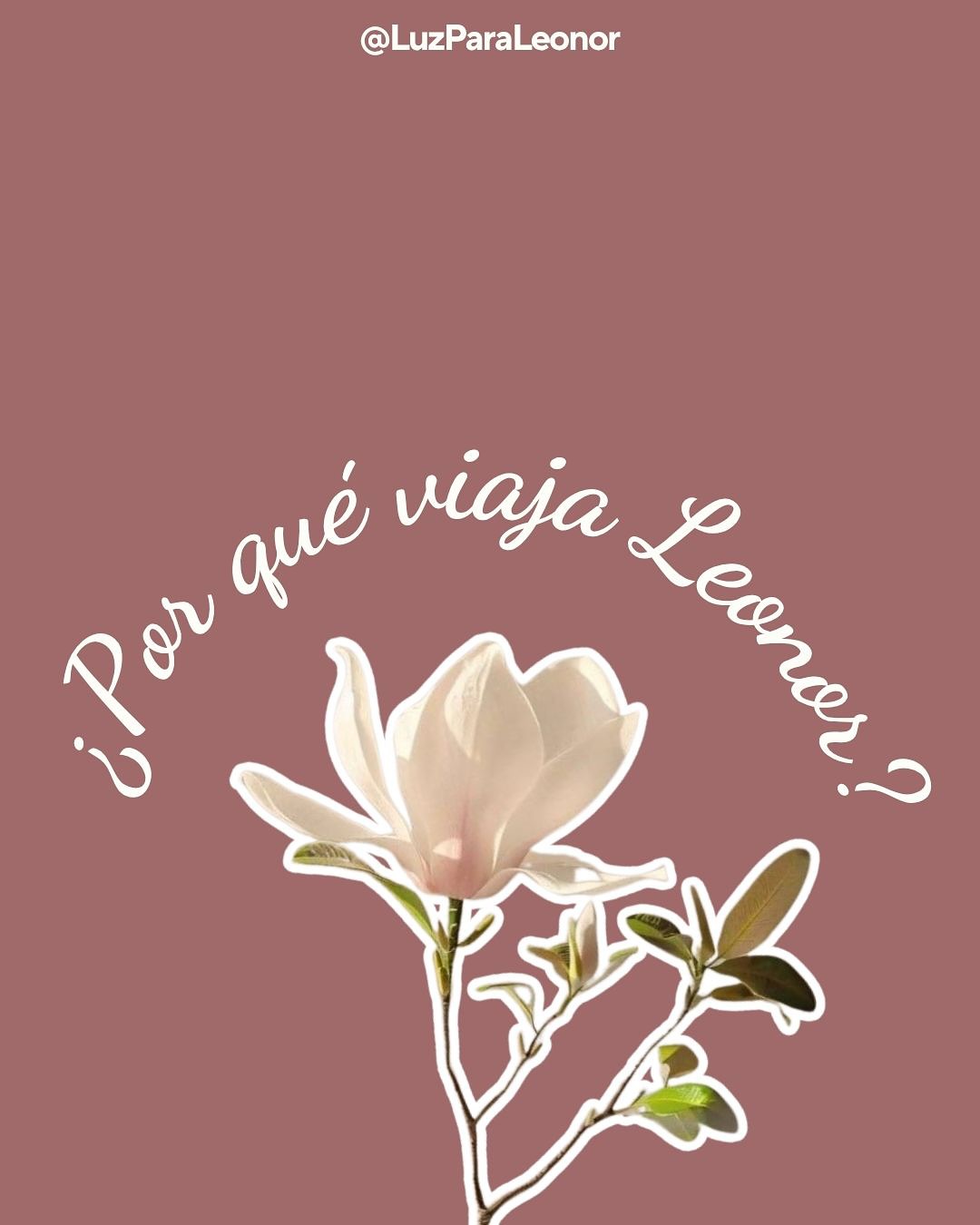 El ensayo clínico EMPEROR de Stoke Therapeutics representa una esperanza real para Leonor.
Este tratamiento innovador podría reducir sus crisis epilépticas severas y darle una oportunidad de vida.
Pero necesitamos llegar a España antes de fin de año. Es por ello que en septiembre tenemos la cita en el consulado para solicitar la visa de estudiante de su mamá, que es la única vía legal para ingresar al país.
Una vez en España, podremos postular a una visa por razones humanitarias, vinculada directamente al tratamiento médico que Leonor necesita.
Para obtener esta visa, debemos demostrar solvencia económica: al menos 16.200 € (aprox. $18.000.000 CLP) entre ambas, cubriendo un año de estadía.
Ese dinero debe estar disponible en septiembre para presentar los documentos exigidos en la embajada.
🚨 Meta: $18.000.000 antes de septiembre
🌐 Dona en www.luzparaleonor.cl
💜 Tu ayuda puede cambiar su historia. Gracias por ser parte de esta luz.
#luzparaleonor #sindromededravet