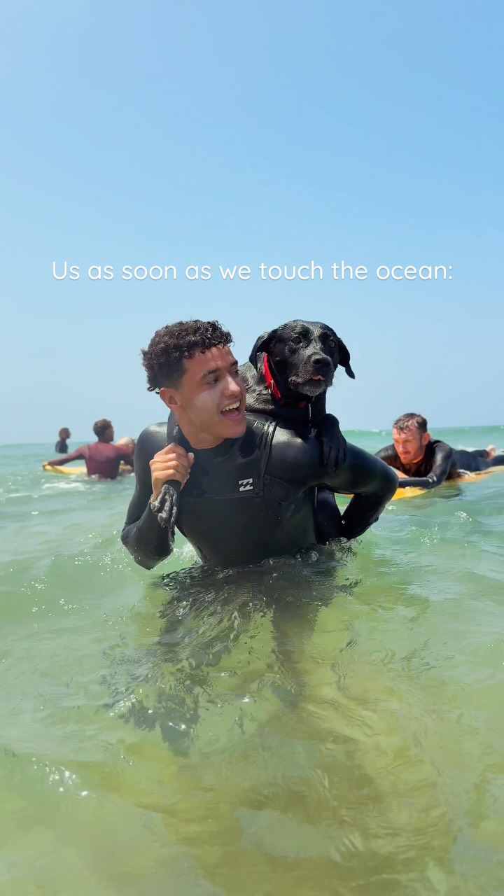 Can you really blame us? 🤪 That ocean feeling hits different! High season is kicking in soon & spots are going quick – book now before it’s too late! 🌊🔥
#melosurfandyoga #morocco #surfingmorocco #surf #taghazout #enjoy #travel #surfing #yoga #taghazoutbay #surfcamptaghazout #surfcampmorocco #tamraght #surflife #happylife