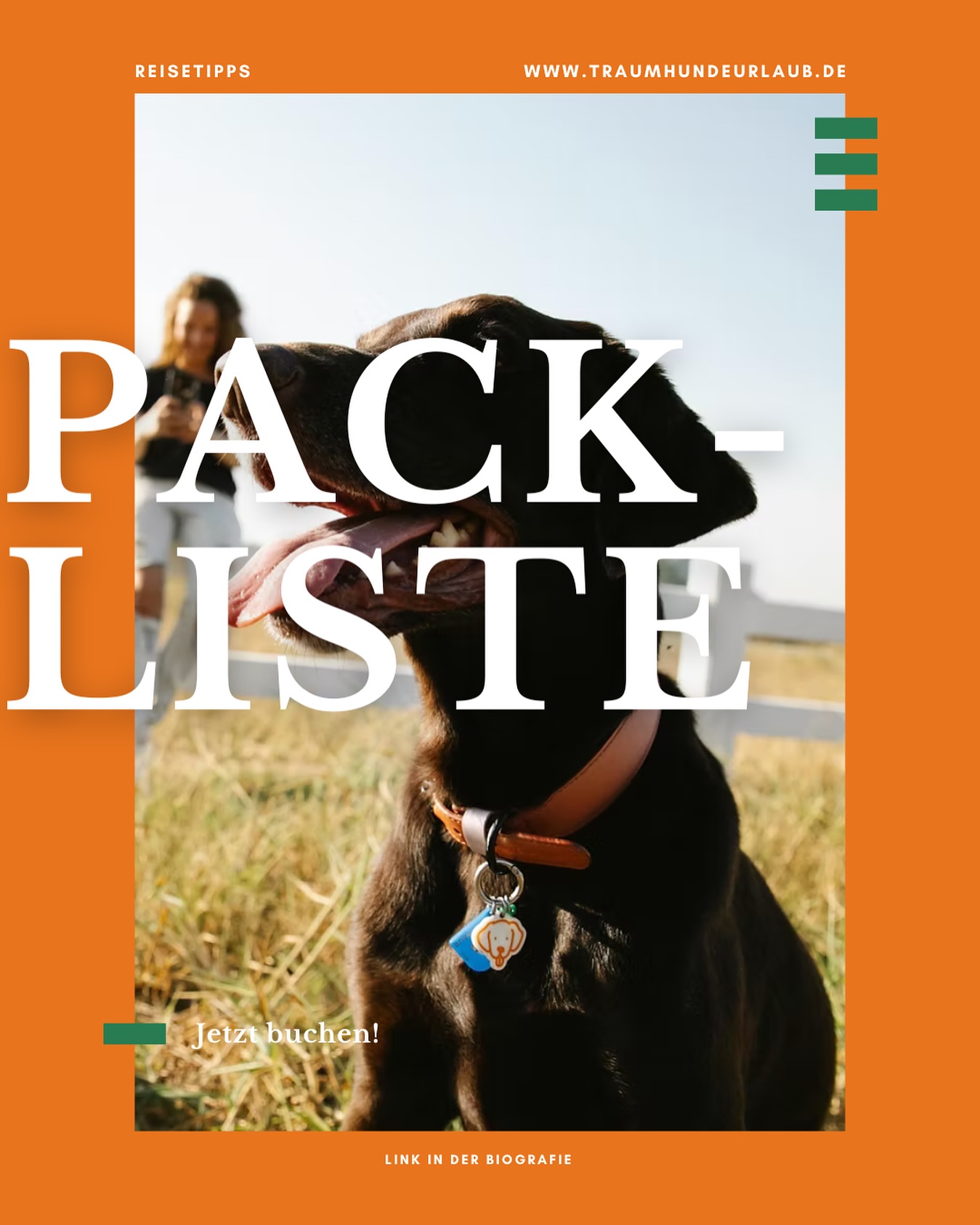 🐾🌴 Urlaub mit Hund geplant? Dann darf diese Packliste nicht fehlen!
Von Leckerlis bis Lieblingsspielzeug oder einer letzten notwendigen Impfung?
Wir zeigen dir, was wirklich in den Koffer muss.
✅ Stressfrei packen, 🐶 entspannt reisen!
👉 auf www.traumhundeurlaub.de findet ihr die ganze Liste! Jetzt vorbei schauen!
Kommentiert, was in eurem Urlaub mit Hund nie fehlen darf!
#UrlaubMitHund #PacklisteHund #ReisenMitHund #Hundeurlaub #DogTravelEssentials #traumhundeurlaub.de #traumhund #hundeurlaub #packliste