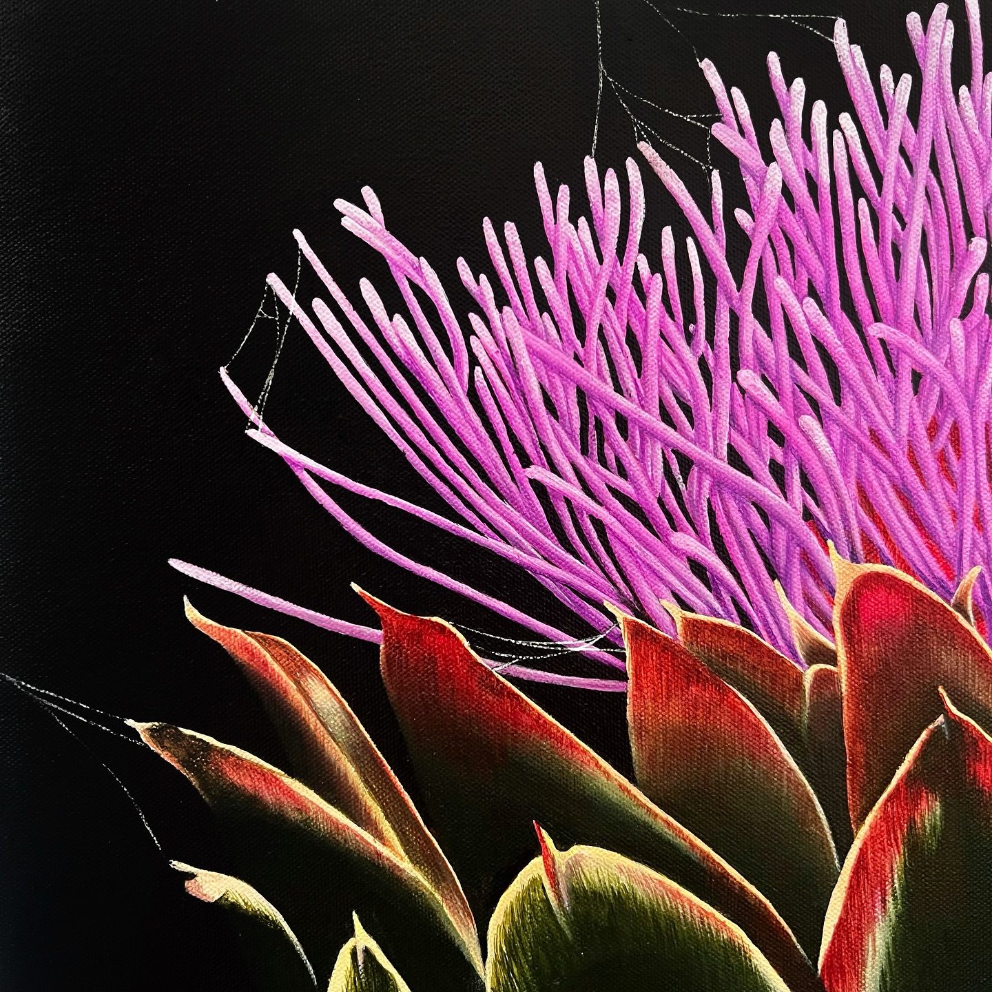 Still can’t believe how long it took me to finish this. But also really happy I (we) stuck it out, because… what is this !
Swipe along and enjoy!