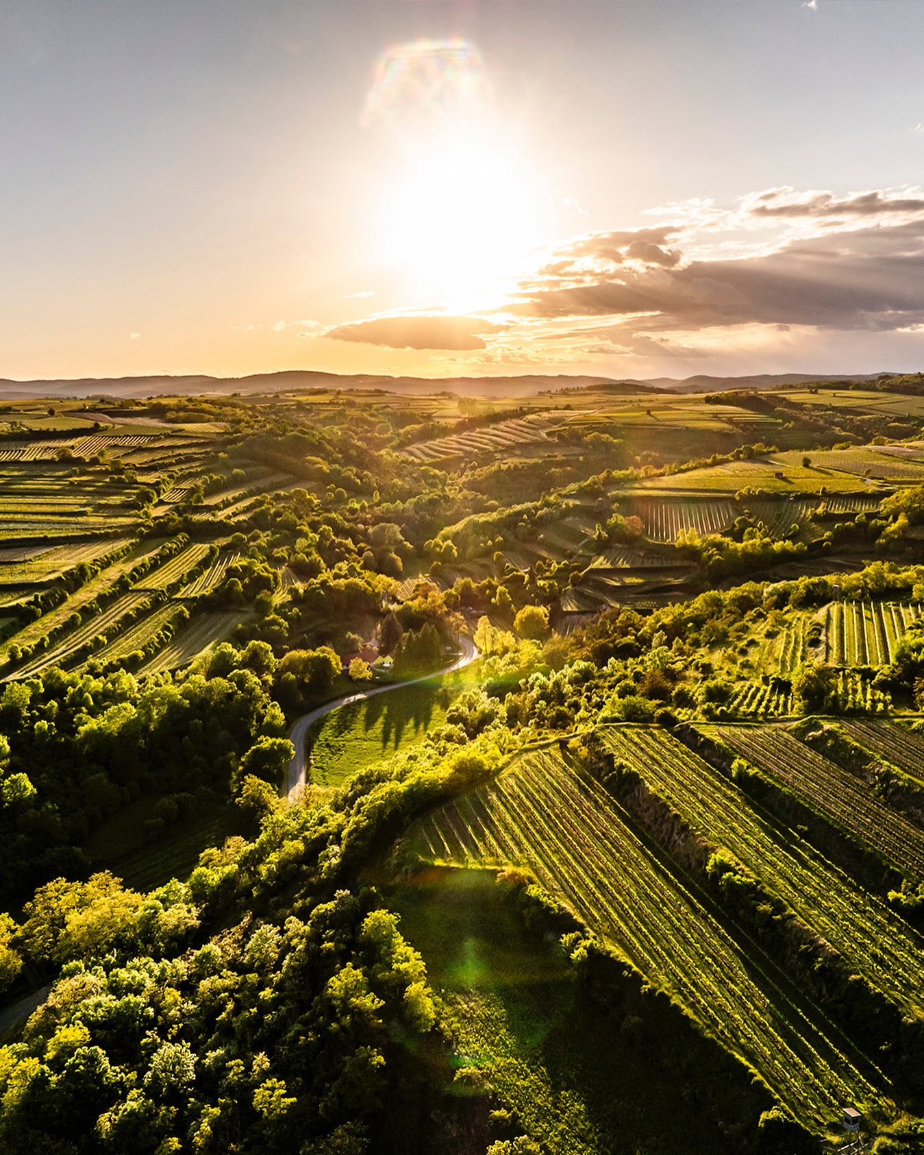 Das wunderschöneKamptal! 🥂👍🥰🎉#kamptal #langenlois #austrianwine #niederöstereich #austria #österreich #loves_austria #weloveaustria