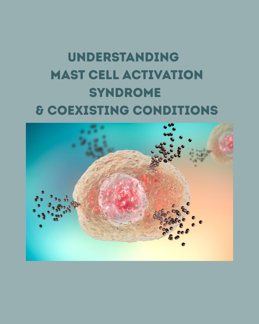MAST cells which are white blood cells produced in the bone marrow and subsequently migrate to and mature within connective tissues. These cells are integral to the immune system, particularly in the realm of innate immunity. Individuals with hypermobility often experience weakened connective tissue, making their mast cells more susceptible to dysregulation and chronic activation. It’s essential to recognize that MCAS is intricate, with triggers and symptoms that can vary widely from one person to another.
Mast cells in MCAS may release excessive or inappropriate amounts of histamine and other mediators, such as: tryptase, prostaglandins and leukotrienes. These substances can trigger various reactions, leading to the production of inflammatory cytokines and immune responses, resulting in a broad spectrum of symptoms.
Although the precise root cause of MCAS is not always identifiable, it can arise from multiple factors, including: genetic predisposition, chronic infections, environmental toxins, gut imbalances, hormonal fluctuations, nervous system dysregulation, and
autoimmune disorders.
The unpredictable release of mediators by hyperactive mast cells in MCAS can lead to a diverse array of symptoms affecting multiple body systems, including: fatigue, autonomic dysfunction, headaches, gastrointestinal issues, and anxiety disorders.
