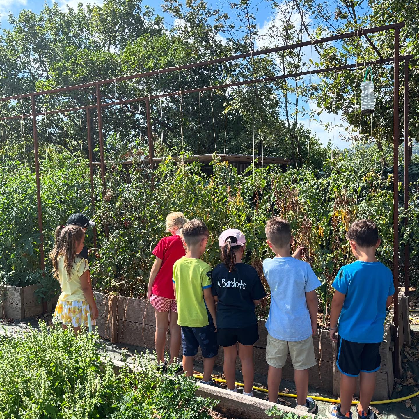 Recap di questa settimana contornata da tantissime passeggiate nella natura e molte altre attività! 🌼🌞 Buon weekend a tutti! Ci vediamo Lunedì!😍🫏🐞🍕🌿