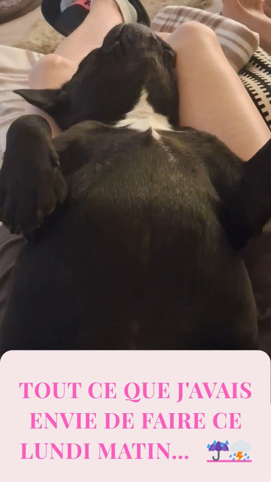 ☁️ 15°C, pluie, lundi matin…
🐶🤗 Ce que j’avais ENVIE de faire : hiberner sous la couette avec Suki 🐾
🔥 Ce que j’ai FAIT : bouger, transpirer, me challenger 💪
Parce que l’énergie ne tombe pas du ciel (surtout pas aujourd’hui 😅).
Elle se construit. Avec régularité, lucidité… et une bonne dose d’auto-leadership.
👉 C’est exactement ce que je transmets dans Fit Leader Pro :
Un accompagnement qui t’aide à retrouver une énergie durable,
même quand la météo (ou le mental) ne joue pas en ta faveur.
💌 Envie d’en savoir plus ? Écris-moi “Leader” en DM.
#LundiMotivation #FitLeaderPro #LeadershipFéminin #ÉnergieMentale #SantéDesFemmes #CoachingFéminin #VitalitéProfessionnelle #PostureDeLeader #DisciplineDouce #MindsetSanté #IsabelleCurratCoaching #Motivation