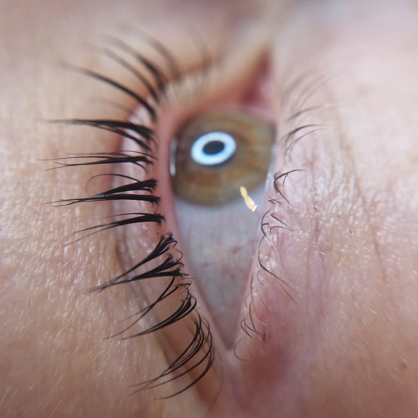 Un rehaussement pour des yeux de biche 👀😍