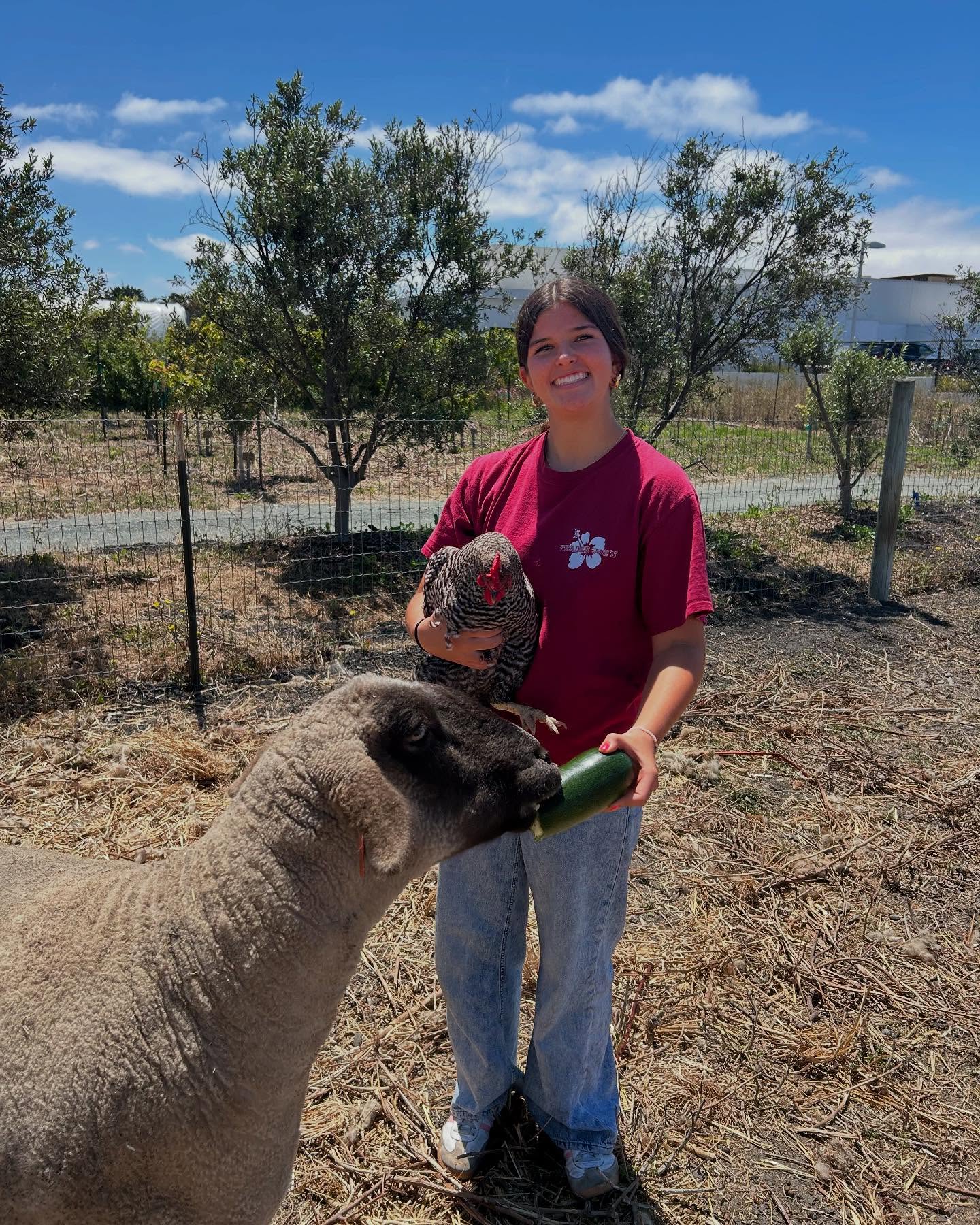 Cohort 15 is well underway! ๐
Week 1 was full of zucchini and tomato harvests, livestock feeding and care, and refreshing our new farm stand sign, with contributions from all three cohorts! ๐
Throughout the week, students have learned about the missions of various nonprofits including SLO Food Bank (@slofoodbank ), the Land Conservancy (@landconservancyslo ), City Farm SLO, and Community Alliance for Family Farmers (@caff_famfarms ). They have also gotten to set program specific goals, distinguish between pests and beneficial insects, understand different farming methods, build resumes, practice interviewing, and spend time practicing intentional observation through nature journaling. ๐ฑ This week is our last week of the Youth Empowerment Program for the summer! #youthempowerment #regenerativefarming #environmentaleducation