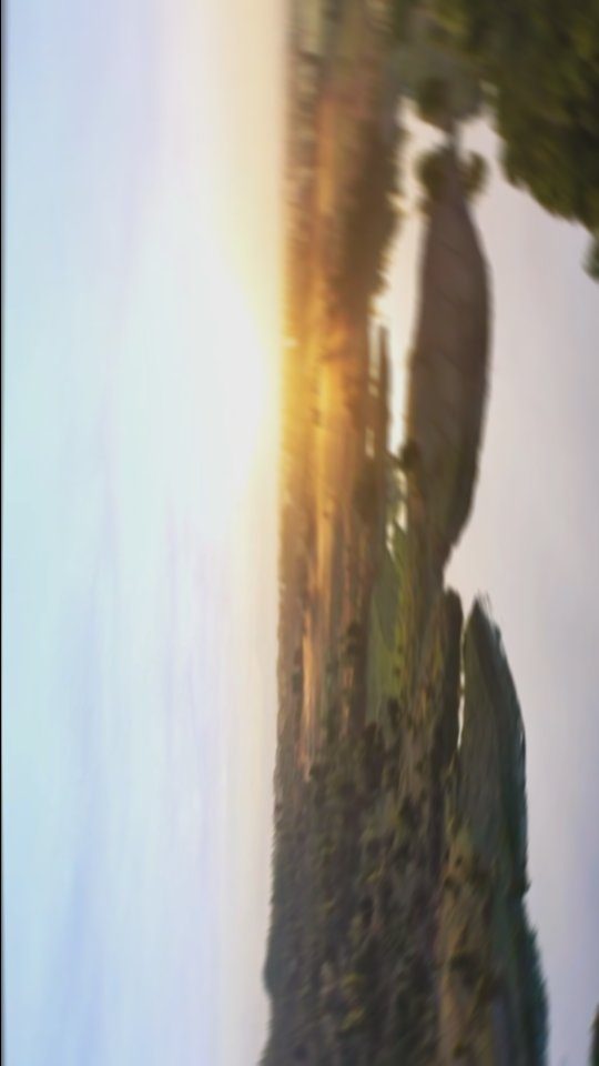 Novena to St Ignatius day 8
#music #trendingreels