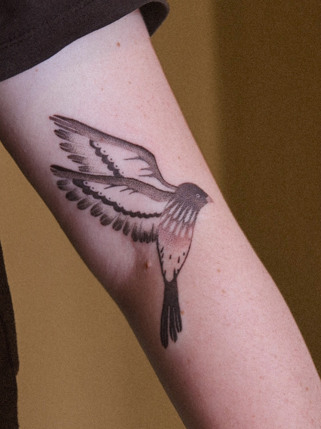 flattervogel
merci pia
#weimartattoo
#erfurttattoo
#jenatattoo
#handpoke
#handpoketattoo
#stickandpoke
#finelinetattoo
#finelinetattoos
#birdtattoo
#swallowtattoo
#blackworktattoo
#dotworktattoo
#tattoomotive
#tattooideen
#illustrativetattoo
#botanicaltattoo
#tattoomagic
#tattooinspiration
#customtattoo
