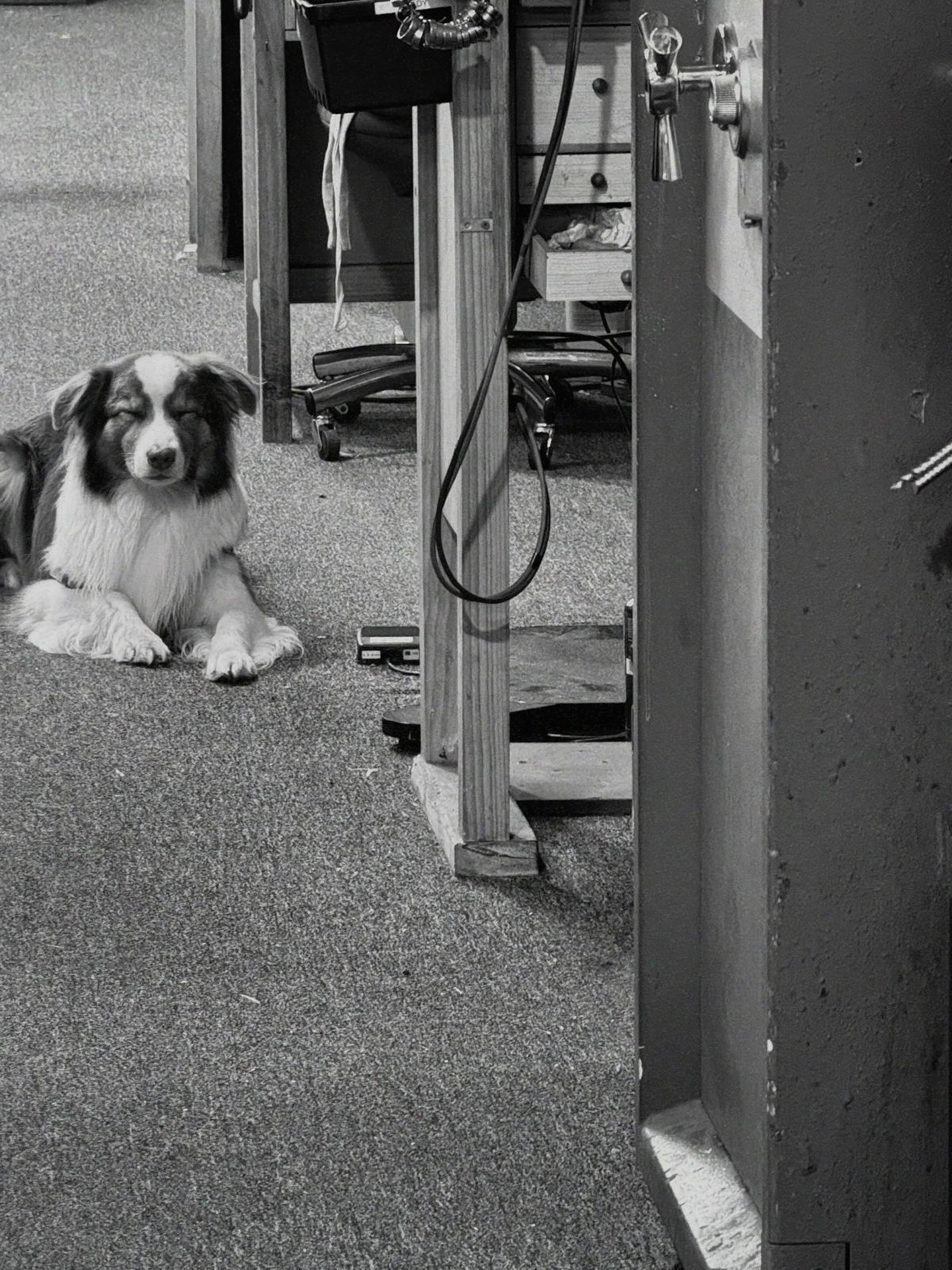 🐶💎 Quality Control Paw-fessional 💎🐾
Meet our most loyal team member – always sniffing out perfection and spreading good vibes in the studio.
Who says you can’t mix diamonds and dog hair? 🐾✨
Factory days are just better with our furry supervisor around!
#ShopDog #FactoryMascot #JewelryLife #DiamondsAndDogs #Pawfessional #InHouseWithLove #oconjewelry