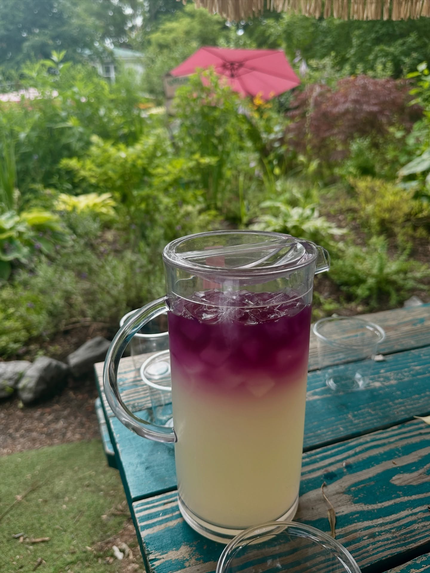 Toronto Islands done right: cruise the harbourfront with @PedalToronto, ride the @TikiTaxi to the islands and then sip a butterfly blue lemonade @runawaycafeto. Adventure feels better with a little citrus on a warm summer day.
#PedalToronto #TorontoIslands #AdventureTravel #IslandVibes #LocalGuides #DestinationToronto #ExploreToronto #BikeTours #GuidedTours #GetOutside