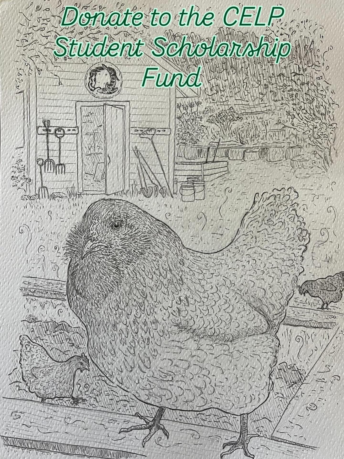 Visit https://www.celp.net/celp-scholarship-fund to make a donation to the CELP Student Scholarship Fund and make a difference in a youth’s future!
The CELP Scholarship program relies on the generosity of individuals and families to make the Catalina Environmental Leadership Program accessible to a wide range of students. Your tax-deductible donation directly funds life-changing outdoor education experiences for youth.
Thank you to Davis Coffey for creating this original artwork celebrating CELP’s garden. 🫶