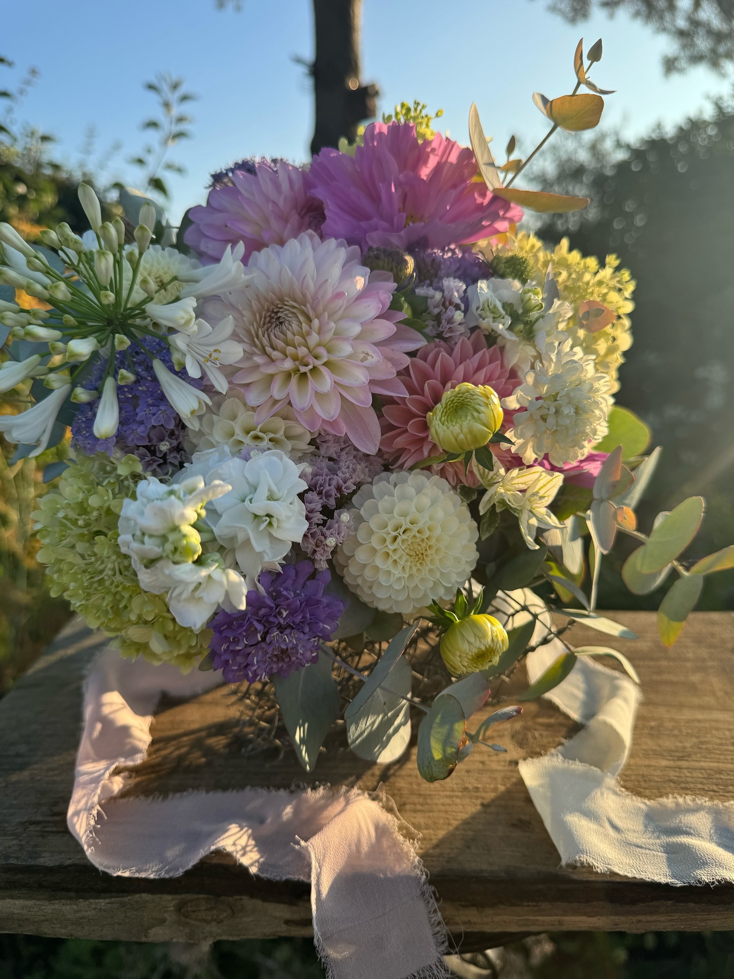 Congratulations! @hannahsergnjack 🤍
Soft & feminine bridal bouquet. Hues of blush pink, muted purple & white from Limelight hydrangea, agapanthus, cosmo, dahlia, blue lace flower & clary. Fragrant Gunni eucalyptus
Olive spray boutonnières with blue cornflowers, thistle & burgundy scabious
Natural design for an intimate summer’s wedding
Larkspur, sweetpea & rose petal confetti
With joy & happiness for my lovely friend 🤍
#bridal #bouquet #weddingflowers #boutonniere #summerwedding #norfolkweddingflorist #bridalflowers #naturalflowers #cottagegarden #seasonalflowers #floraldesign #weddingflorist #weddingbouquet #bridalbouquet #flowerstagram #flowersofinstagram #norwich