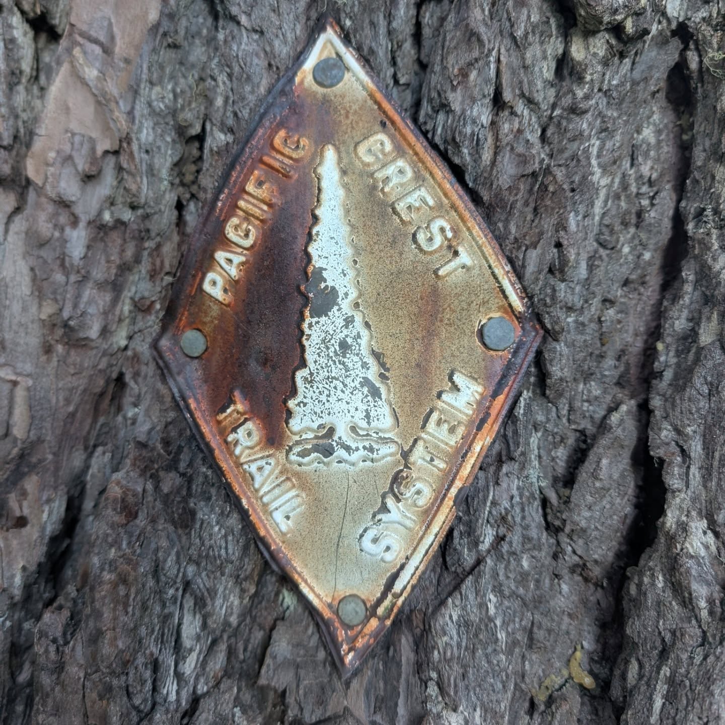 It's good to be back.
Only took two flights, one train, three buses, and four hitches, but now it's just walking.
PCT Washington - Rainy Pass to Stevens Pass